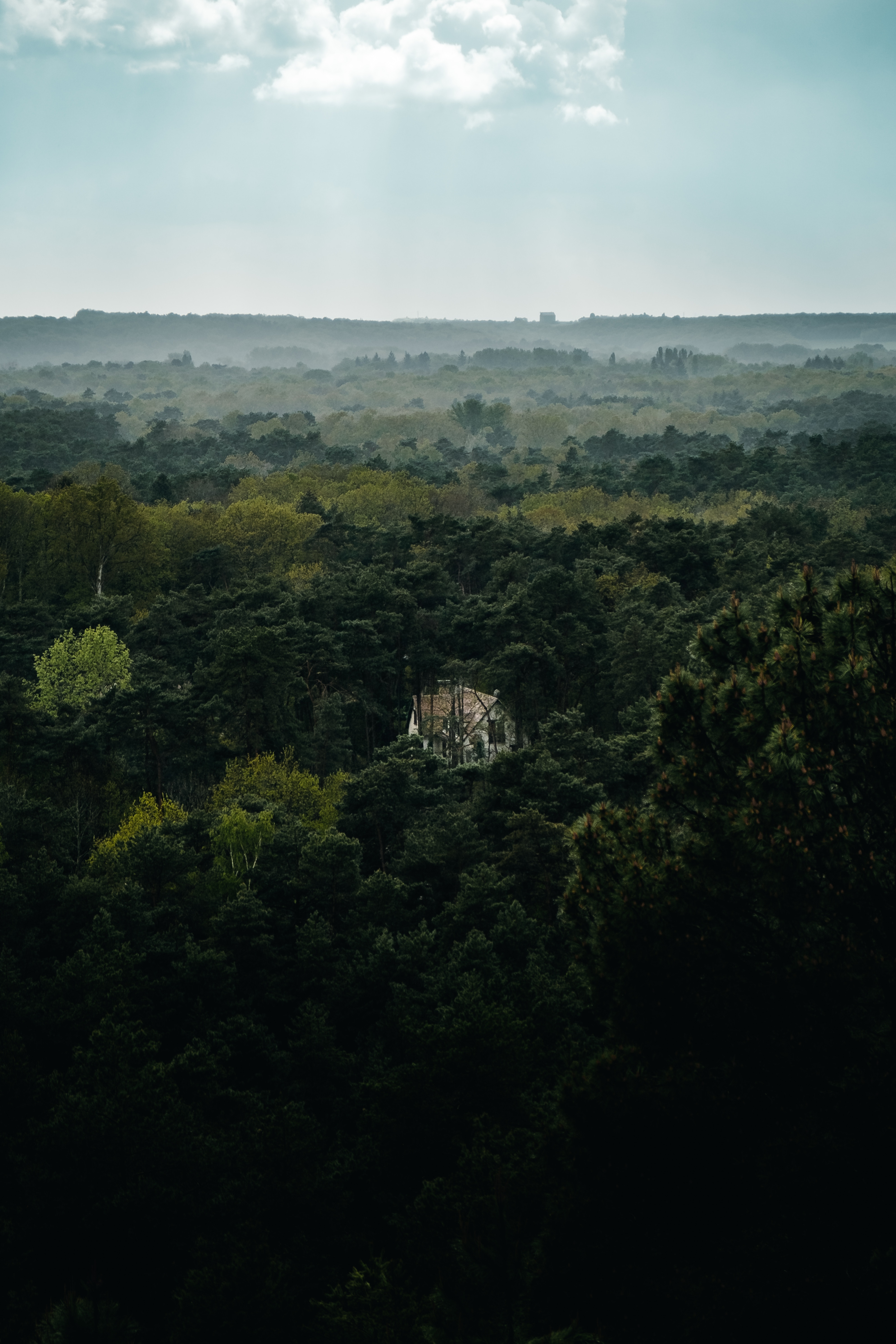 alone, house, nature, trees, view from above, forest, lonely phone background