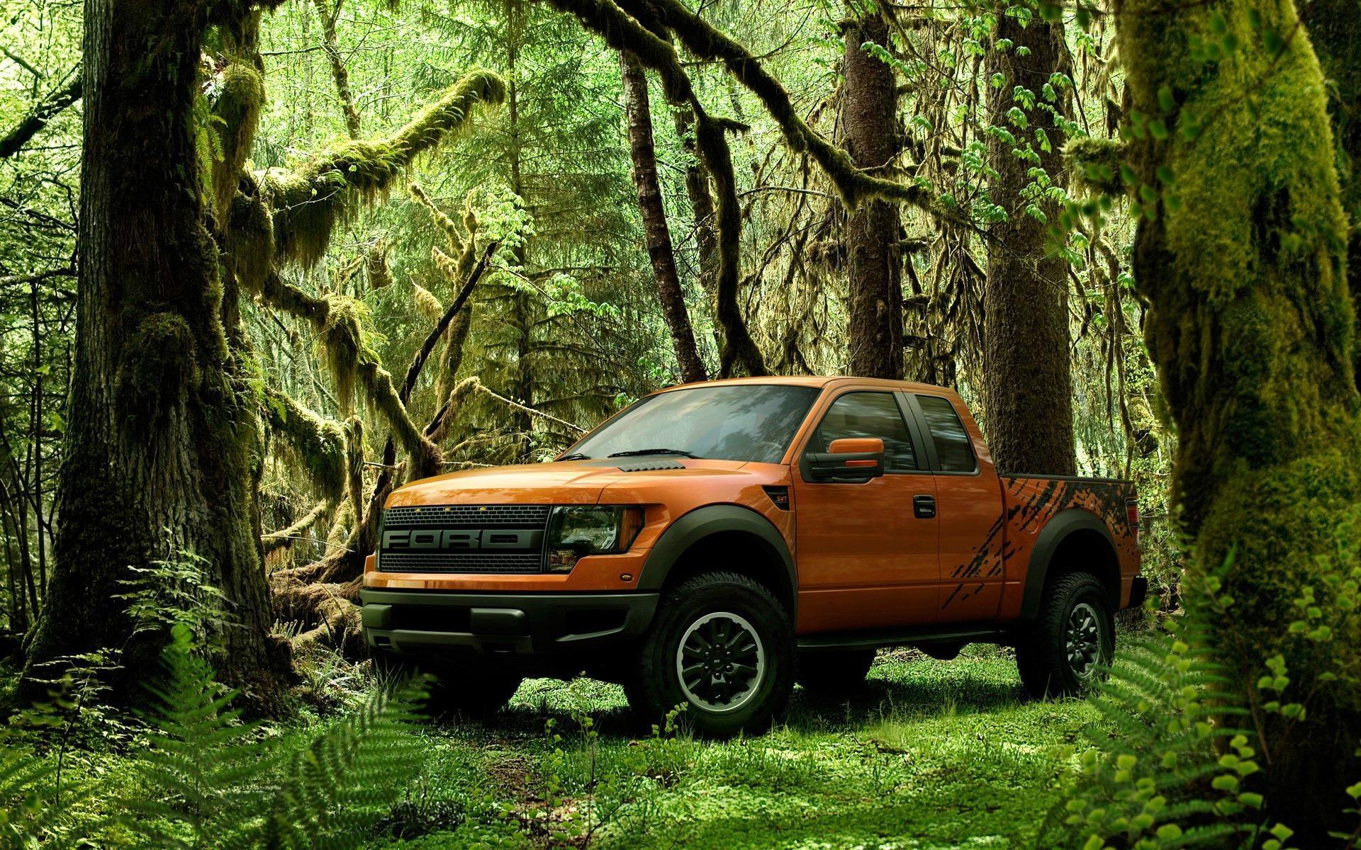 vehicles, ford raptor, ford