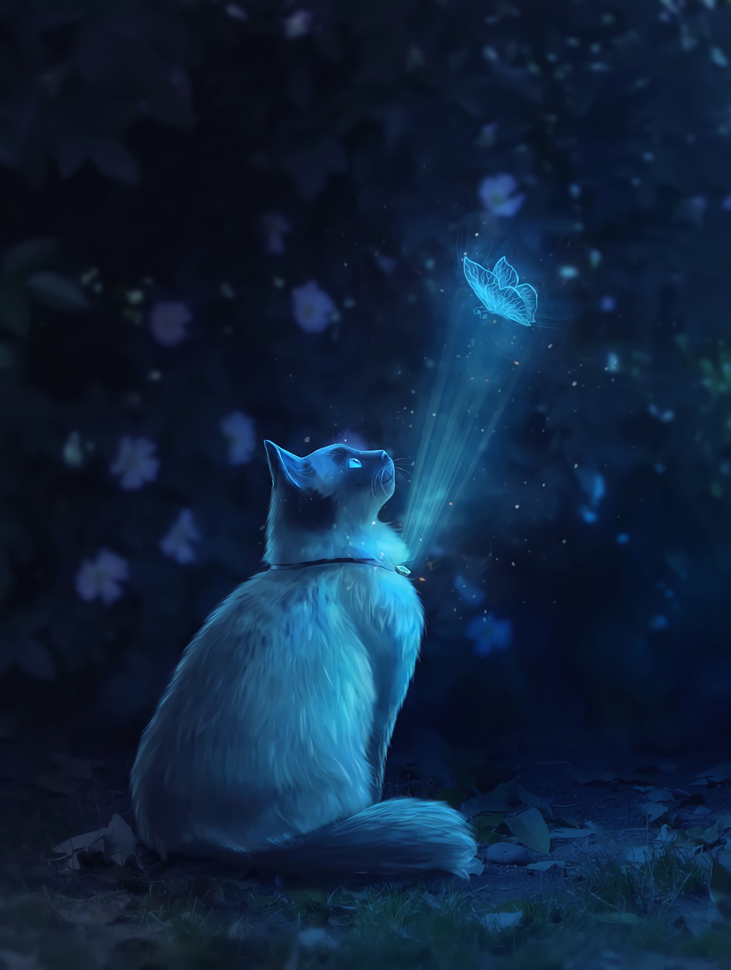 cat, art, shine, light, butterfly, illusion for android
