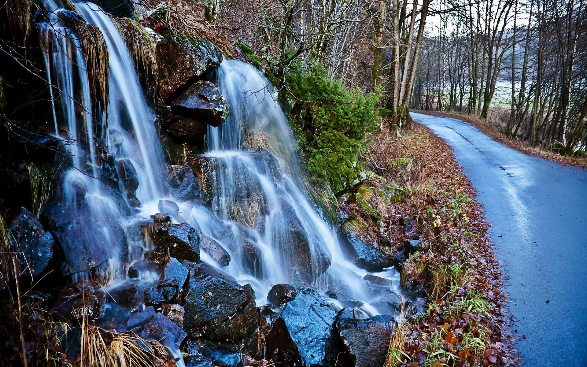 waterfall, trees, nature, road, asphalt HD wallpaper