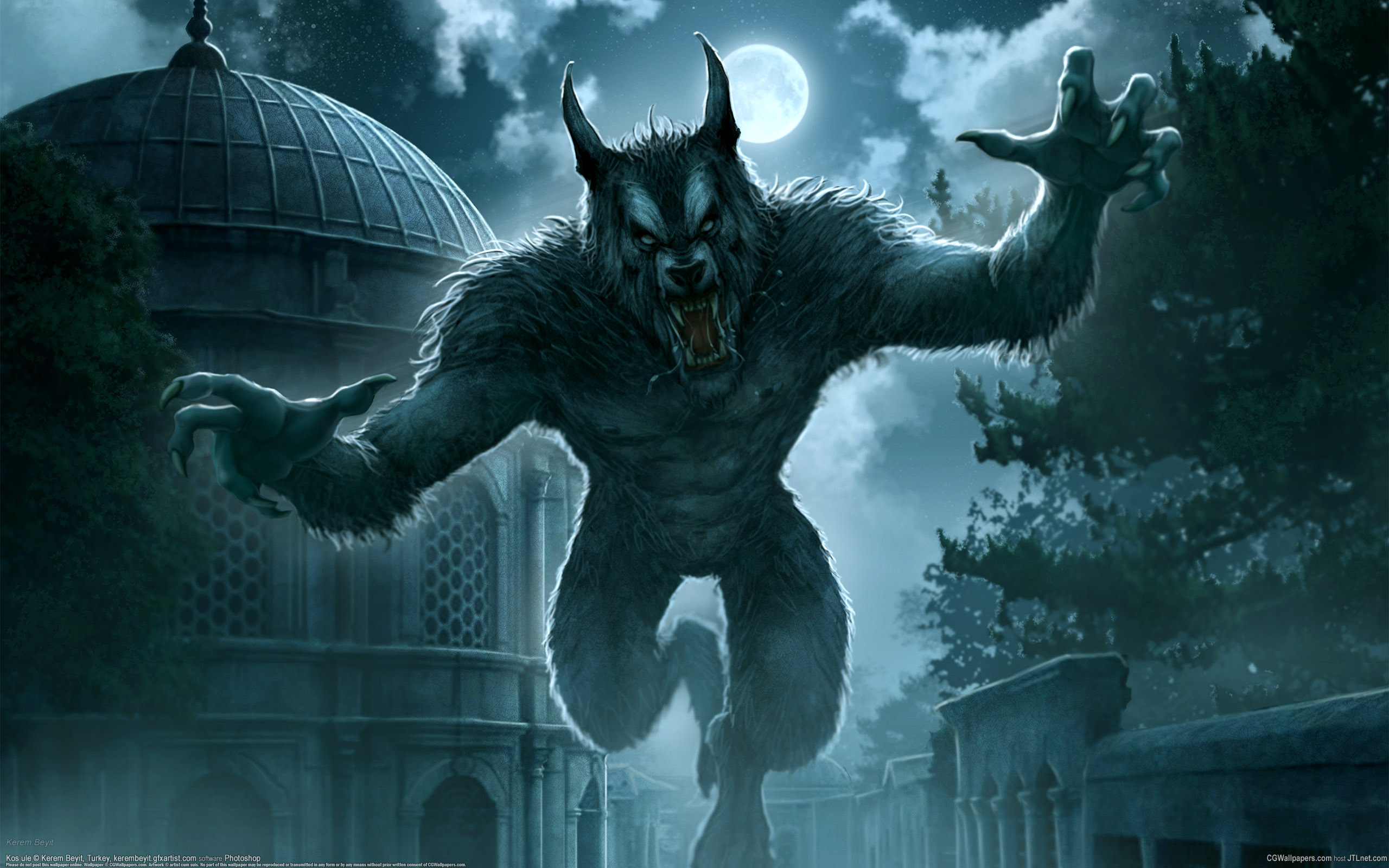 werewolf, dark Phone Background