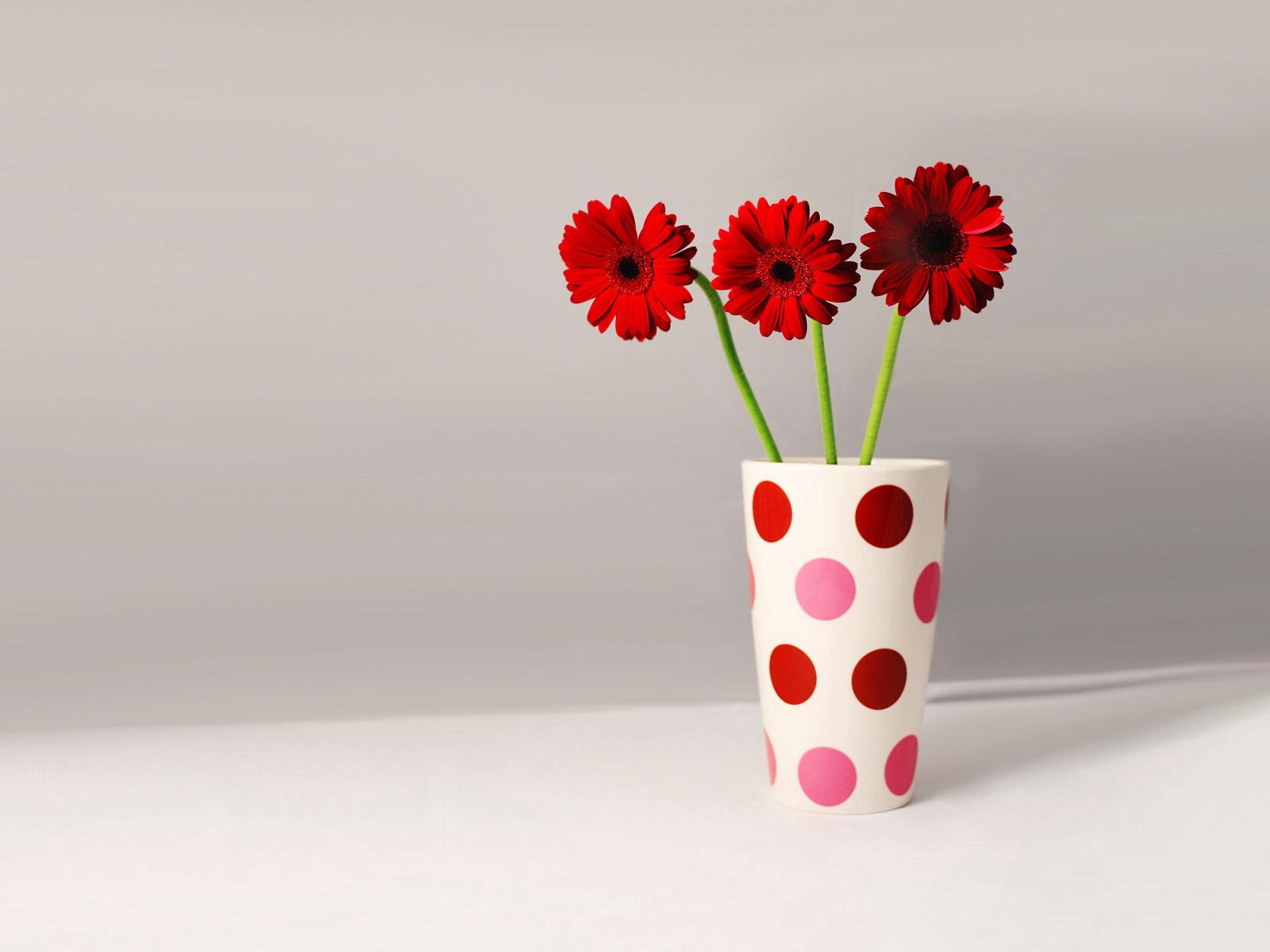 minimalism, flowers, gerberas, vase, three, peas, pea HD wallpaper