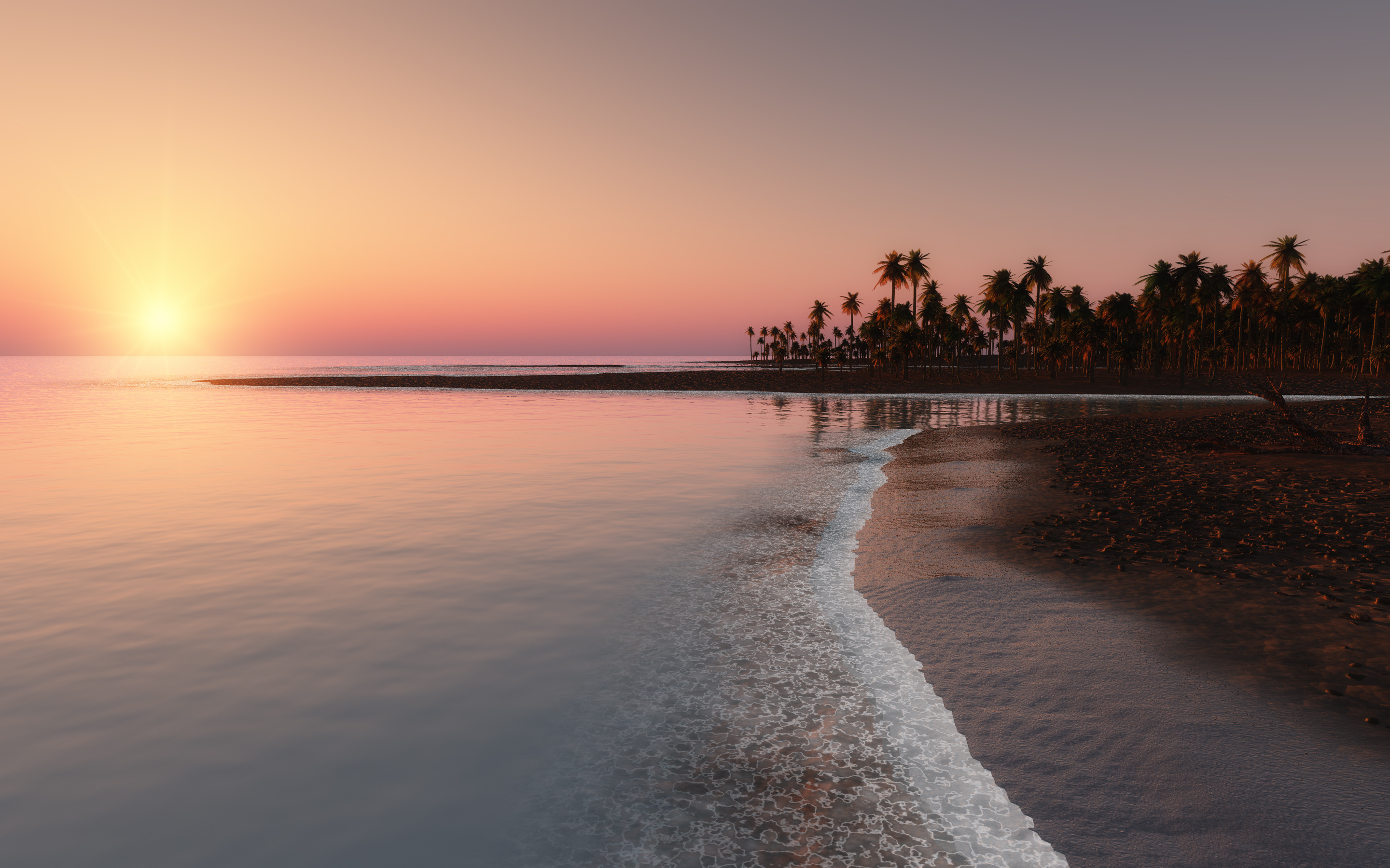 77608 download wallpaper sunset, nature, sky, palms, coast, ocean, tropics screensavers and pictures for free