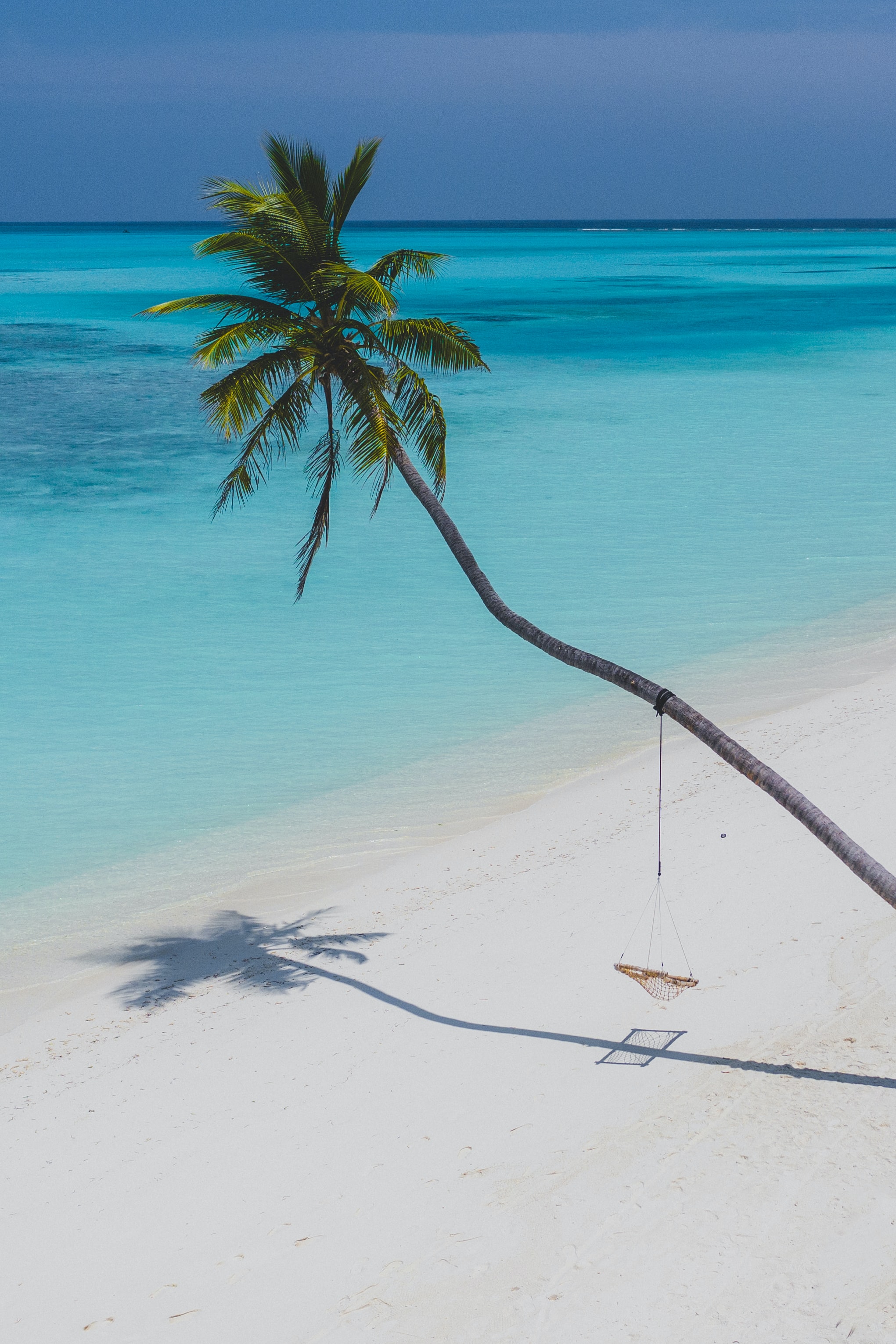 Laden Sie das Natur, Strand, Palme, Palm, Ruhepause, Entspannung-Bild kostenlos auf Ihren PC-Desktop herunter