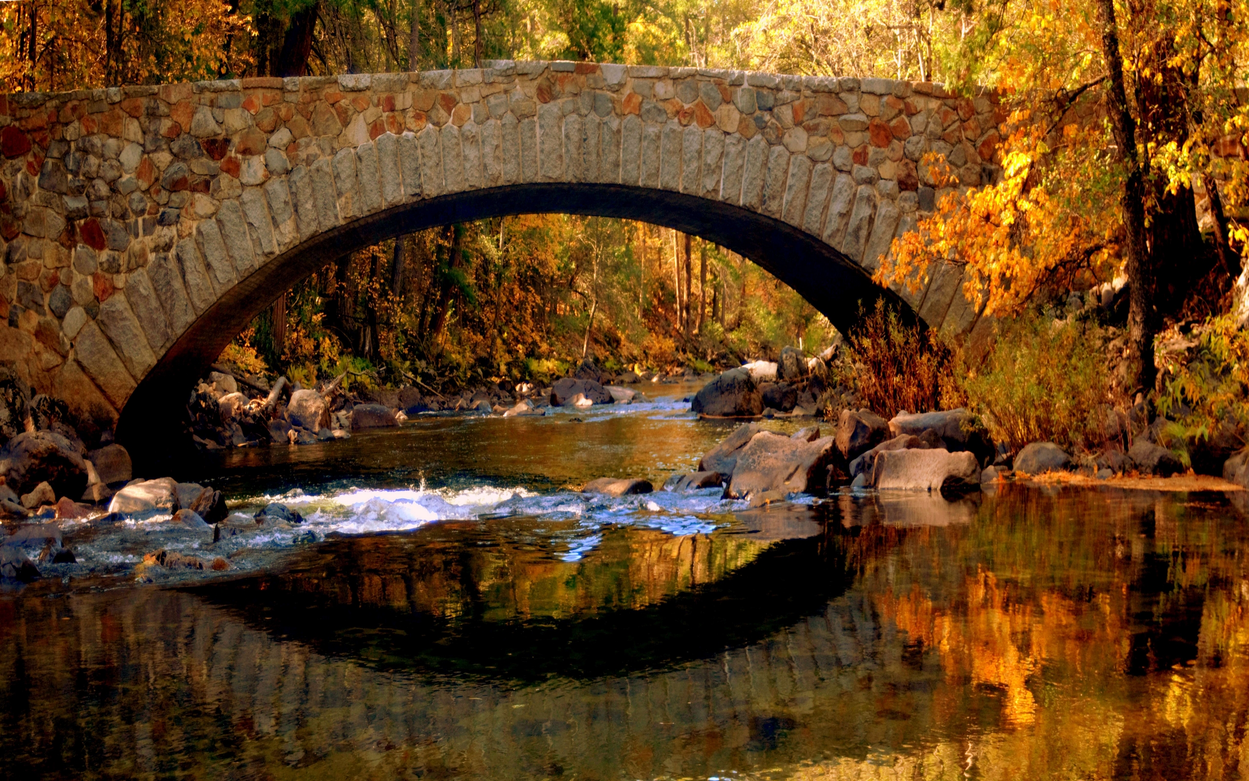 Река осень мостик