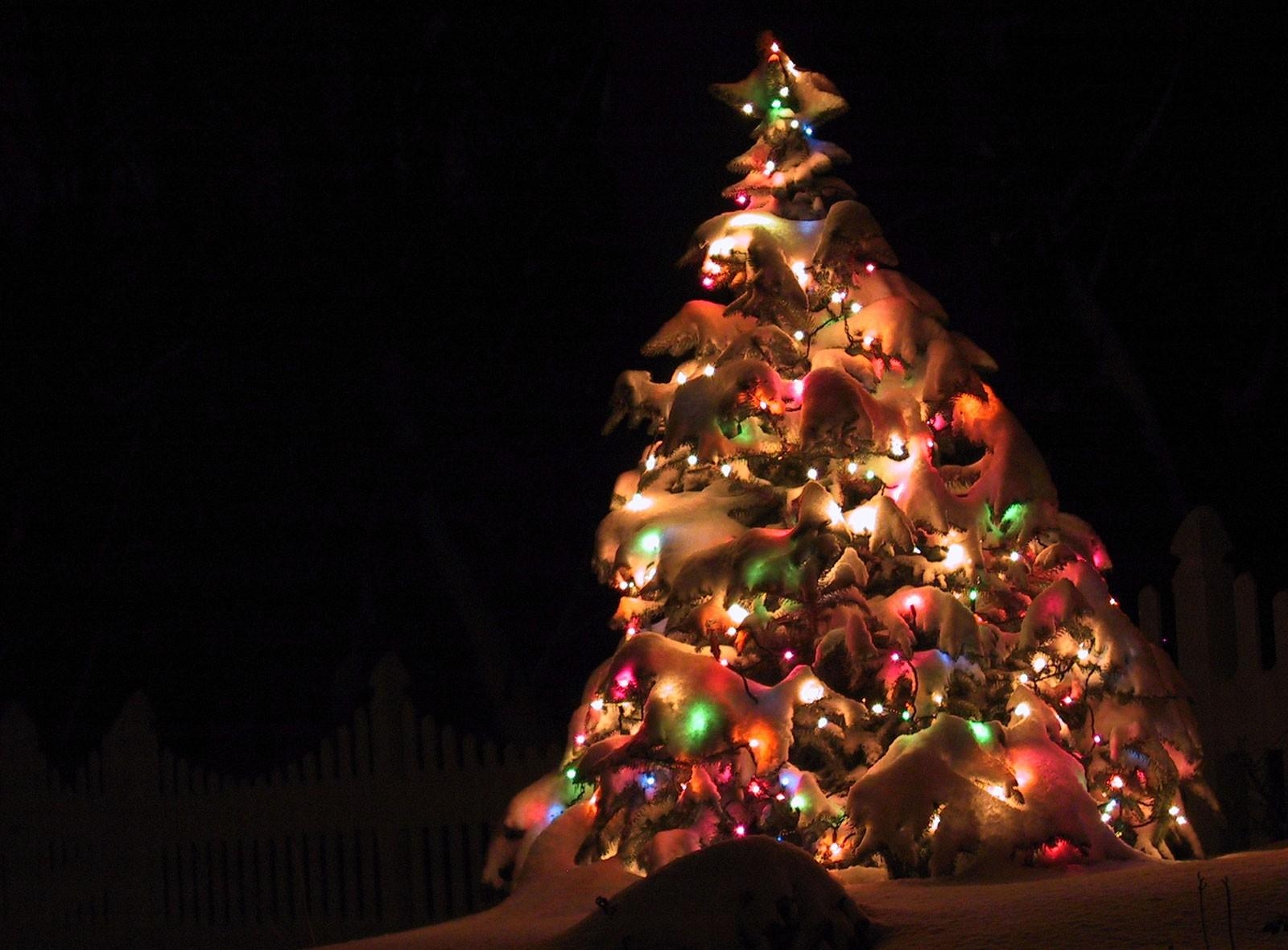 75190 Salvapantallas y fondos de pantalla Árbol De Navidad en tu teléfono. Descarga imágenes de árbol de navidad, navidad, vacaciones, noche, nieve, día festivo, guirnalda, calle, guirnaldas gratis
