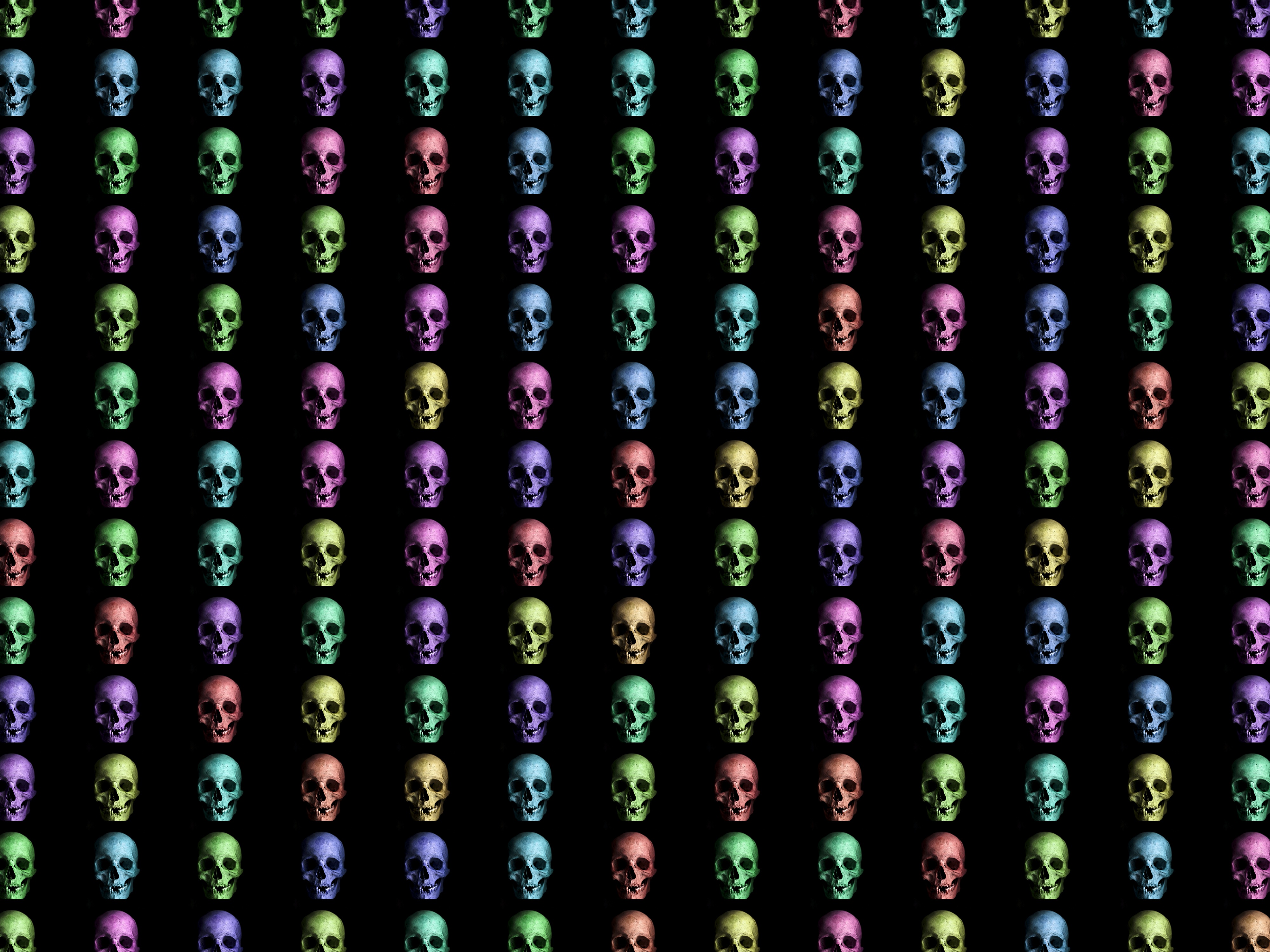 123054 download wallpaper skull, multicolored, motley, texture, textures, skulls screensavers and pictures for free