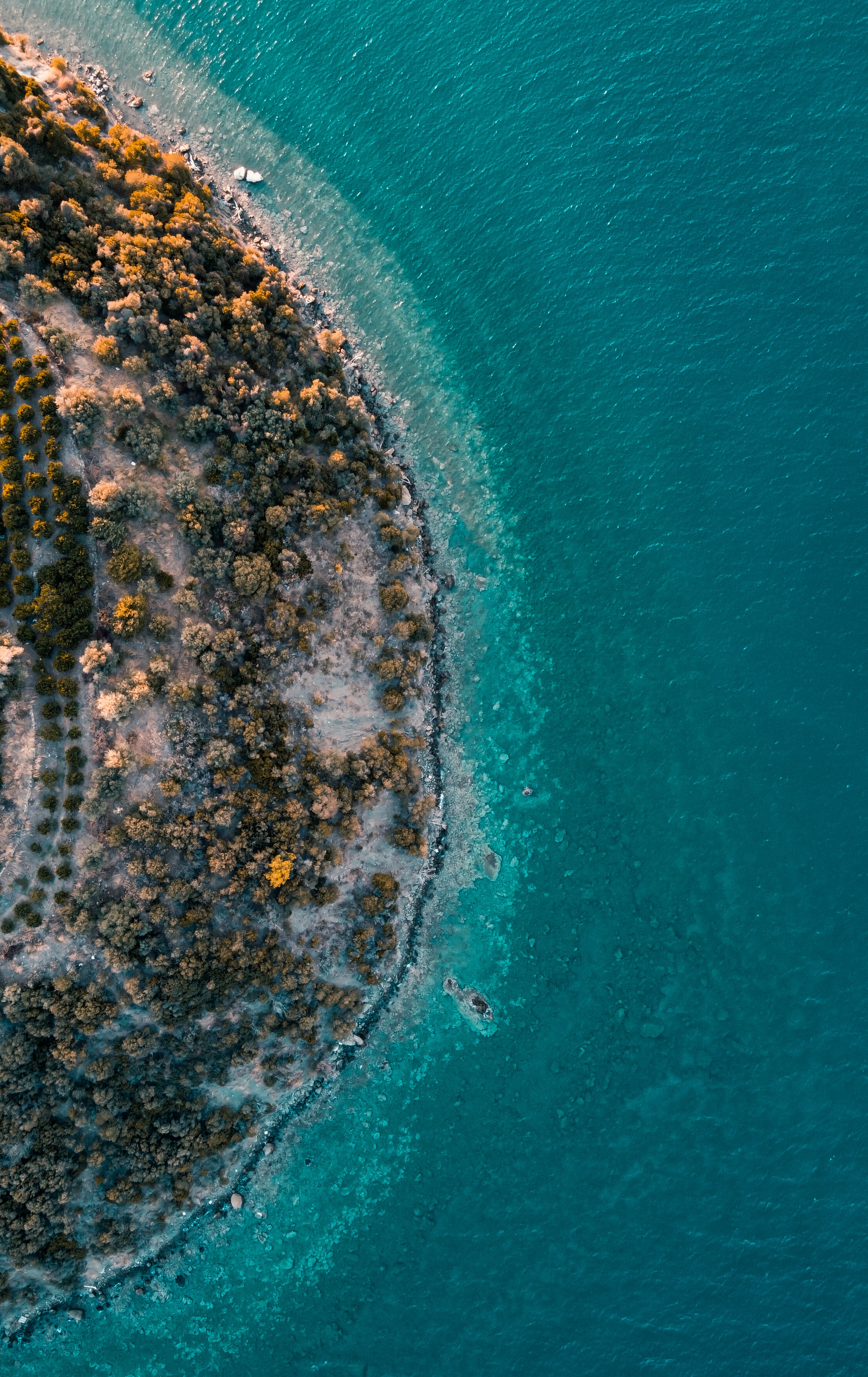 shore, sea, bank, view from above Full HD