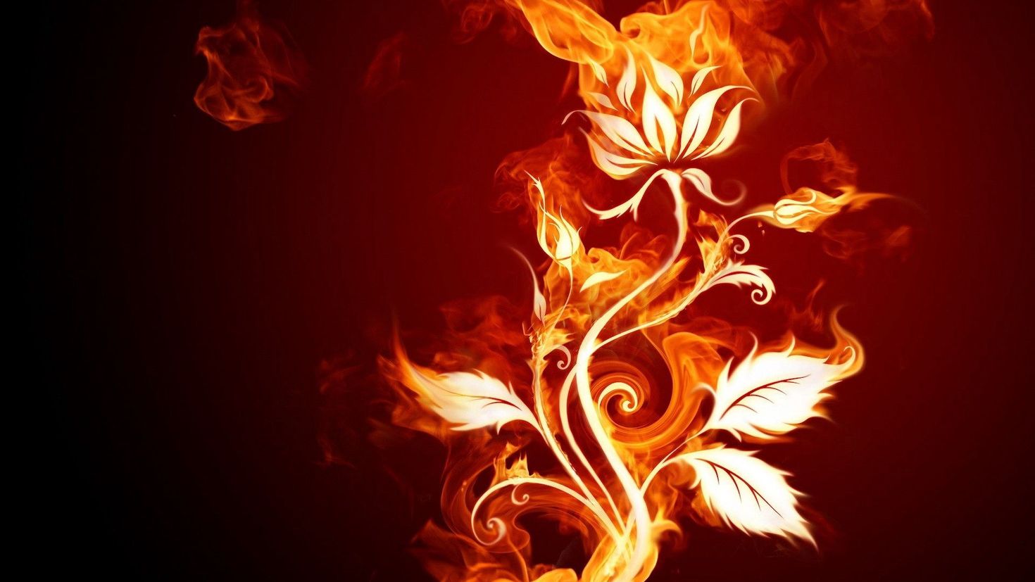 Desktop HD wallpaper: Abstract, Background, Fire, Patterns, Flame, Rose Flo...