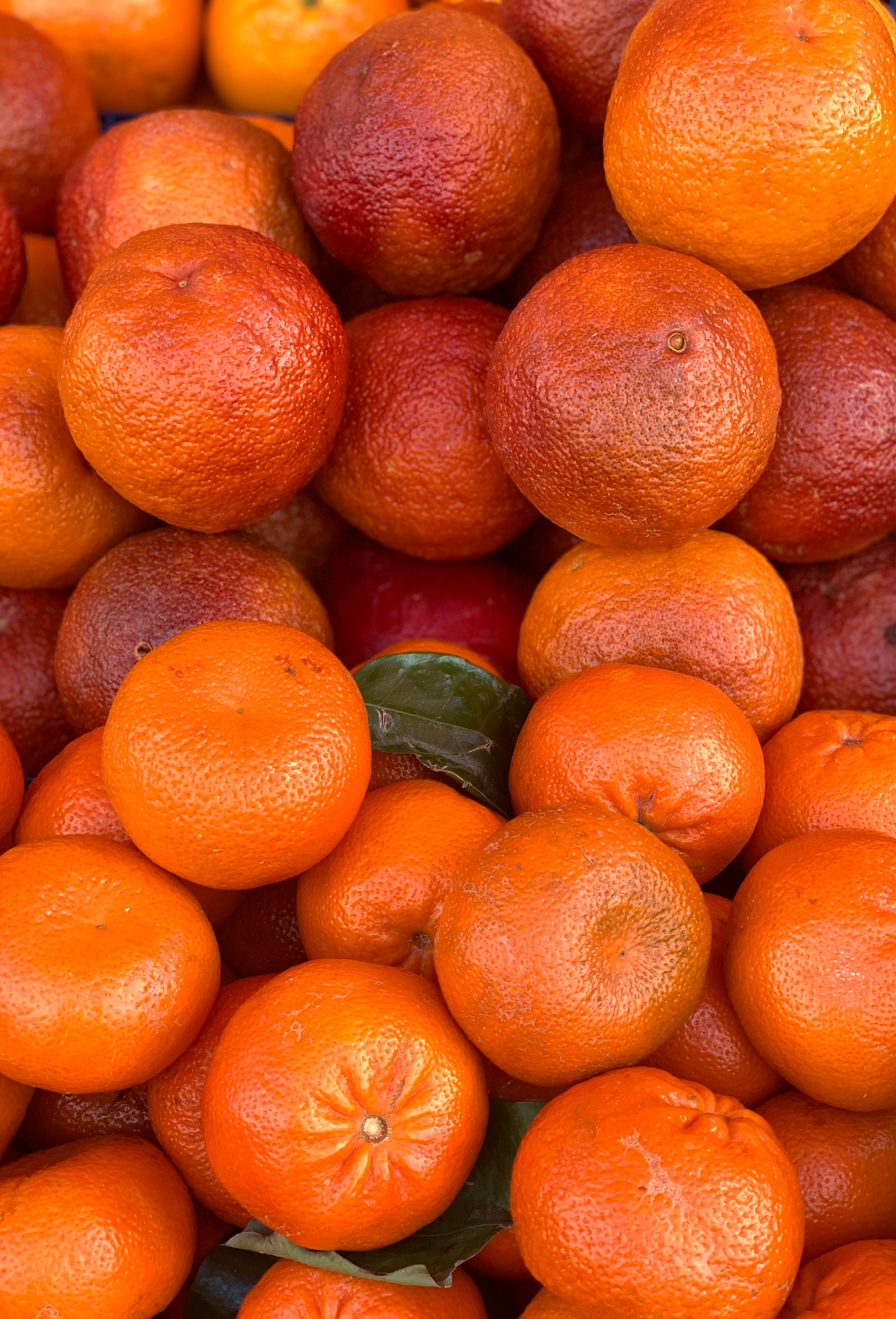 citrus, fruits, food, tangerines, orange