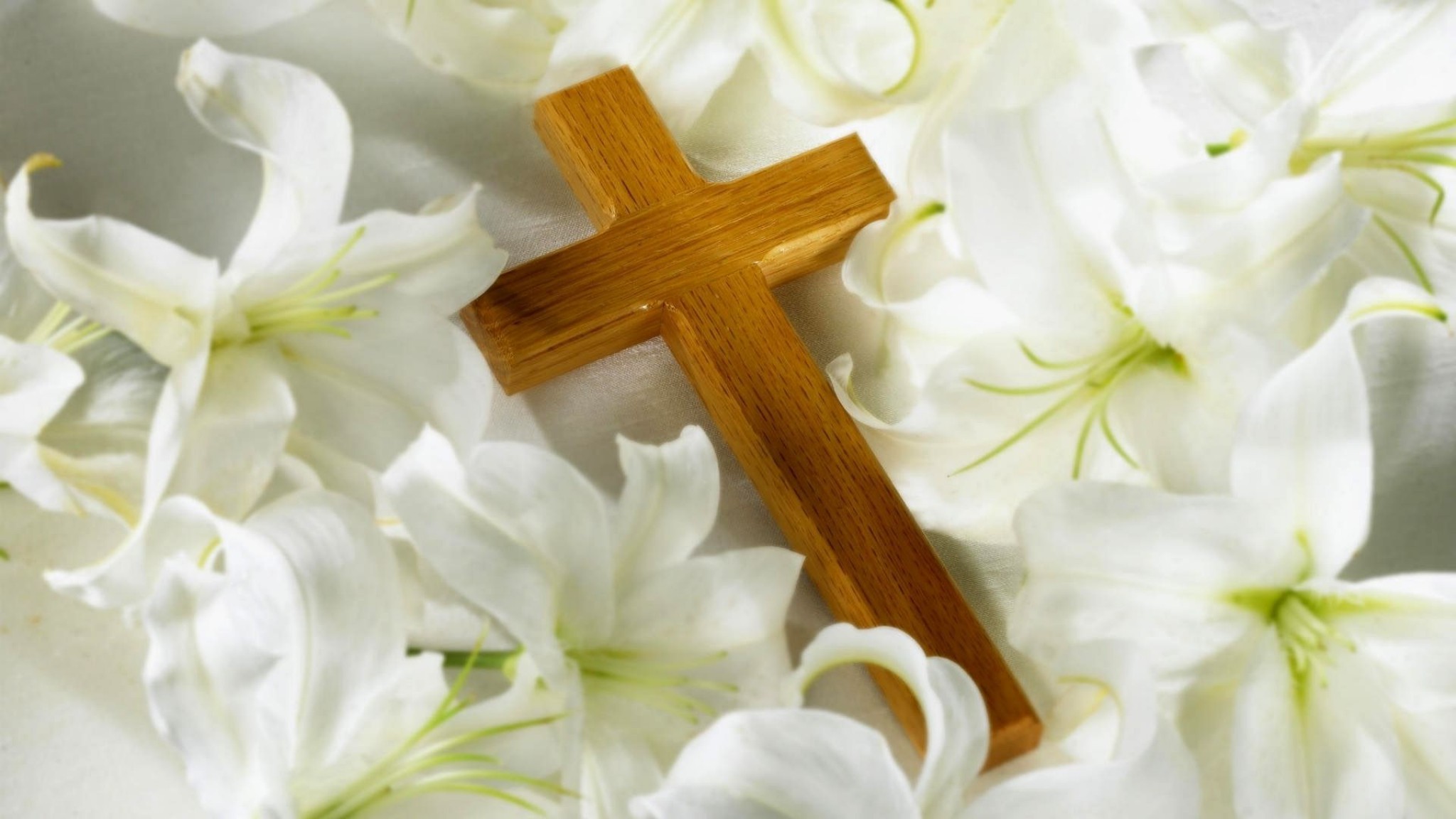 white flower, cross, religious, christian, flower, lily 5K