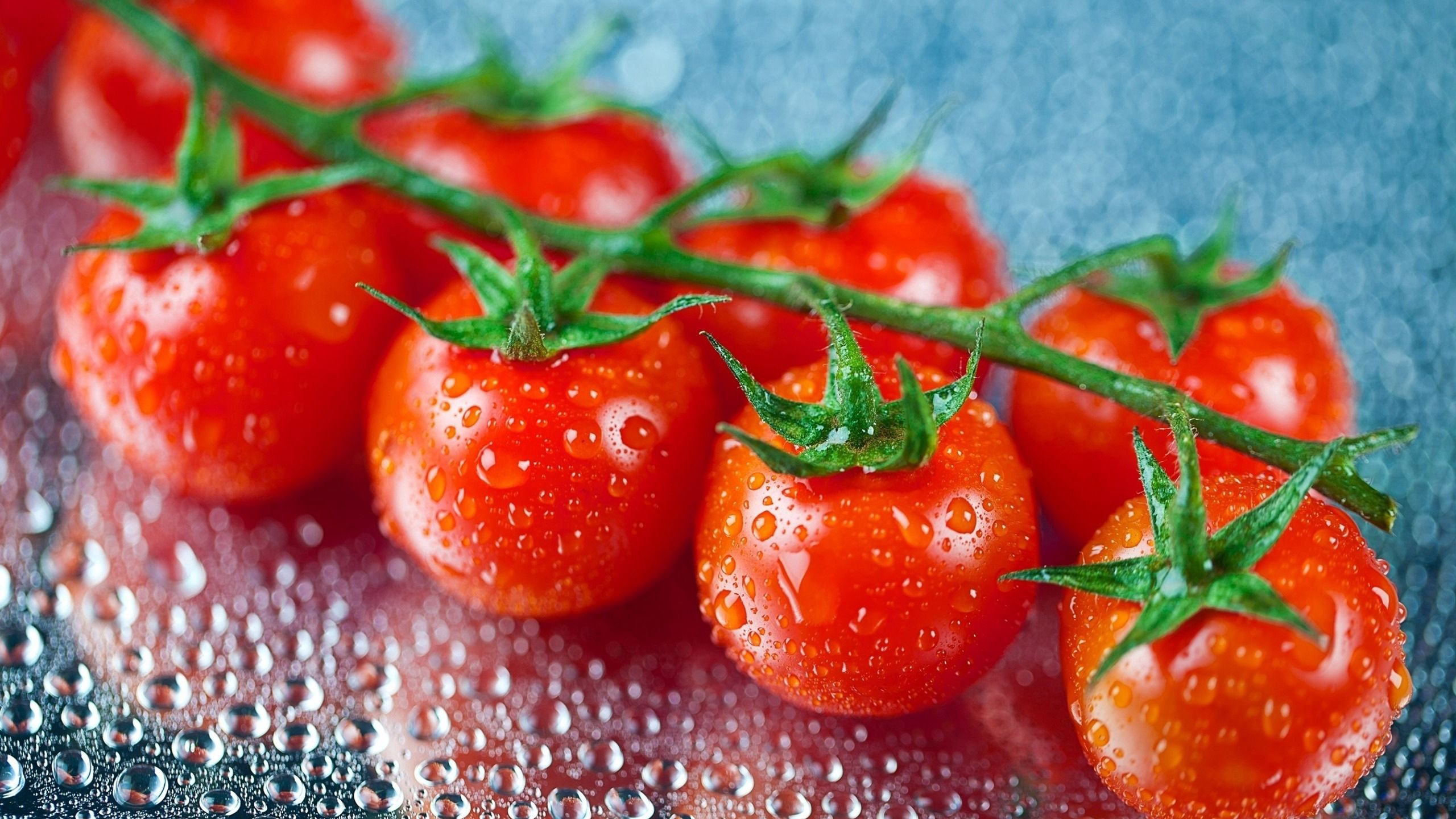 61372 Bildschirmschoner und Hintergrundbilder Tomaten auf Ihrem Telefon. Laden Sie zweig, kirsche, drops, lebensmittel Bilder kostenlos herunter