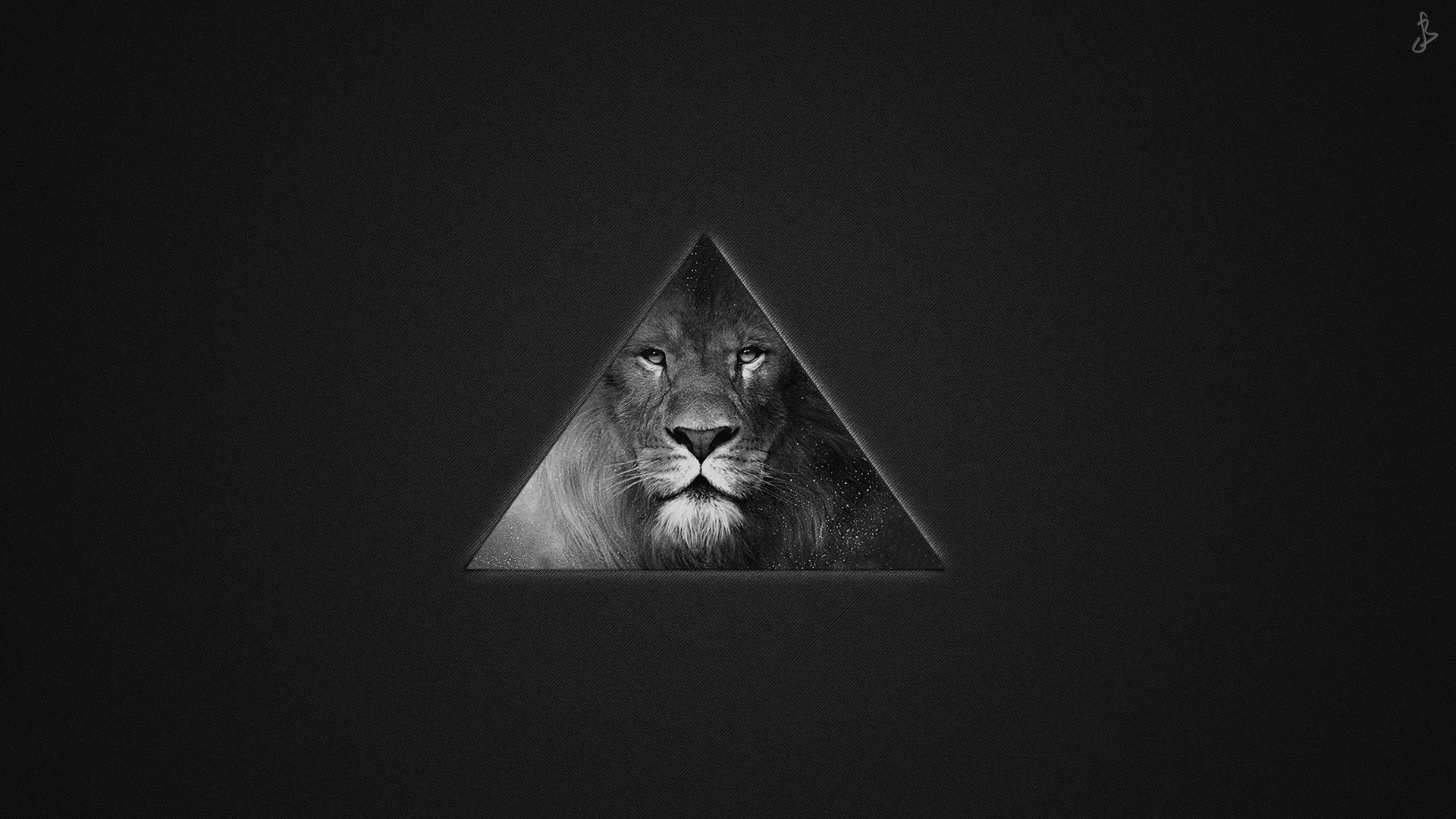 Mobile wallpaper lion, black, texture, predator