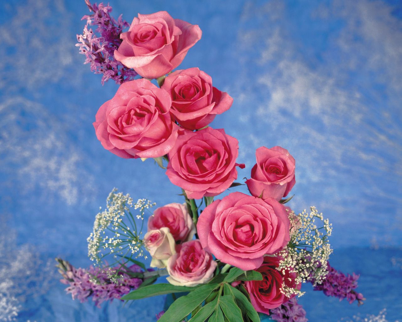 Free HD roses, flowers, background, leaves, composition