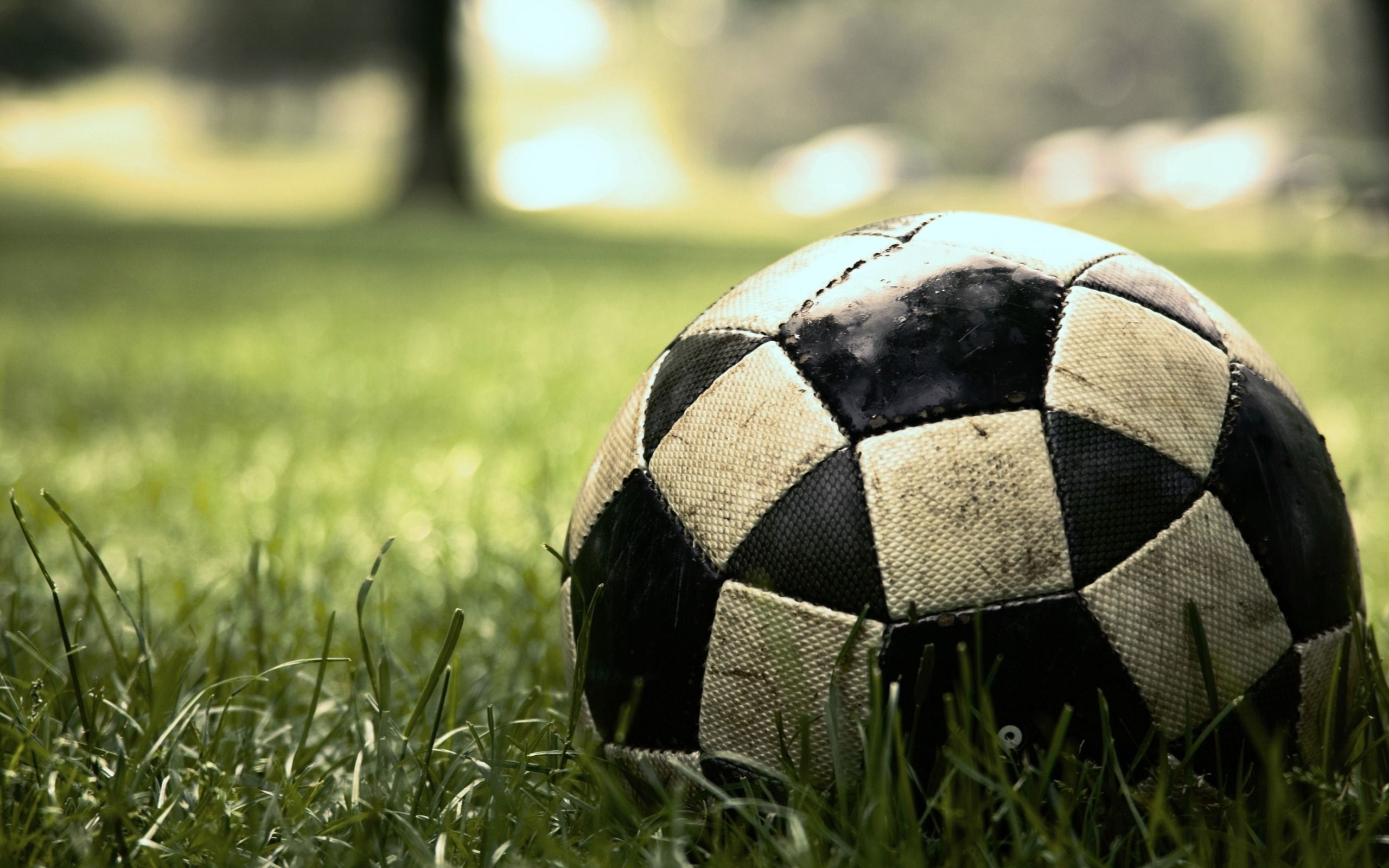 Hintergrundbild für Handys: Sport, Fußball, 40587 Bild kostenlos