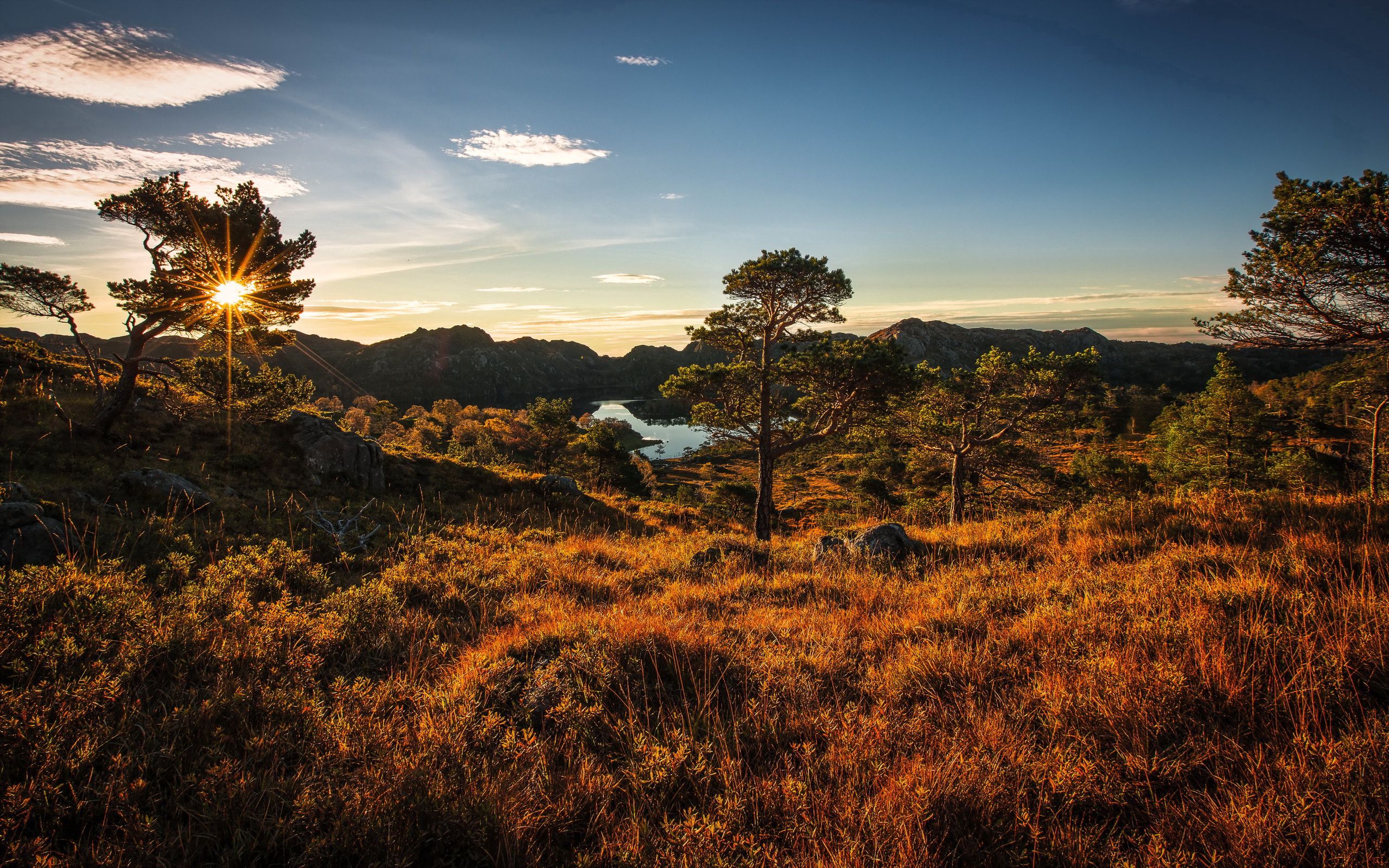 85939 Hintergrundbilder und Norwegen Bilder auf dem Desktop. Laden Sie norwegen, natur, bäume, grass, sky Bildschirmschoner kostenlos auf den PC herunter