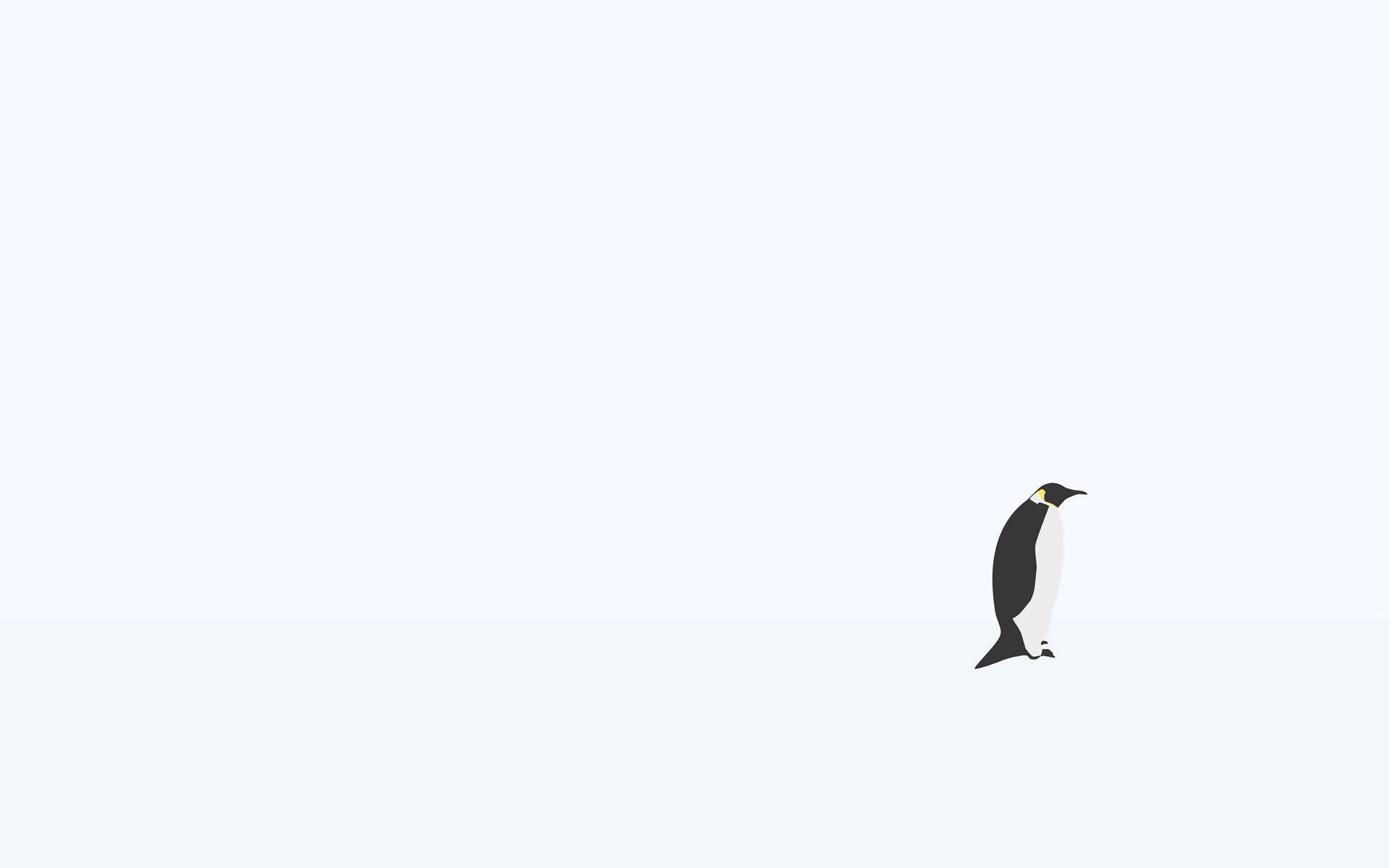 Die besten Pinguin-Hintergründe für den Telefonbildschirm