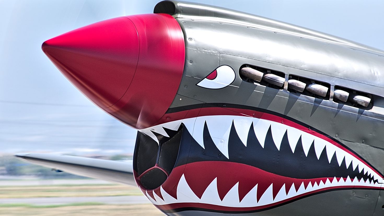 P-40 Warhawk Art