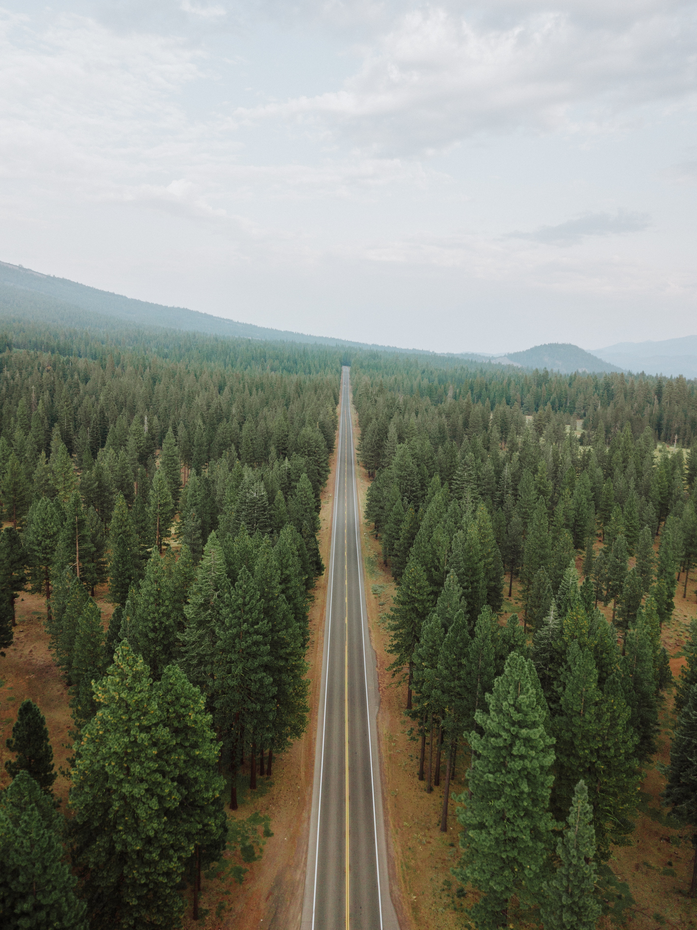 Mobile HD Wallpaper Panorama trees, road, straight, nature