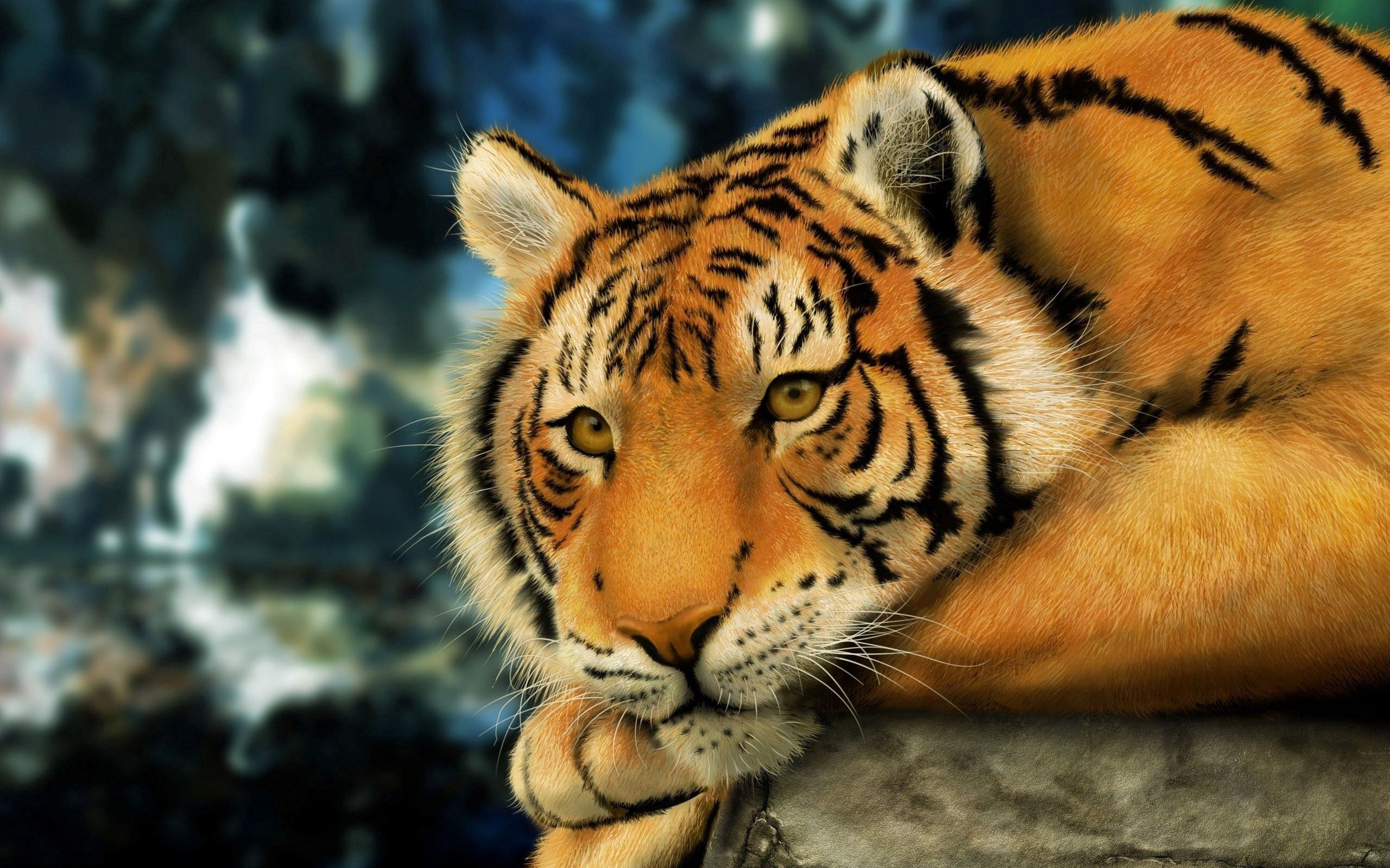 tiger, animals, muzzle, striped, big cat mobile wallpaper