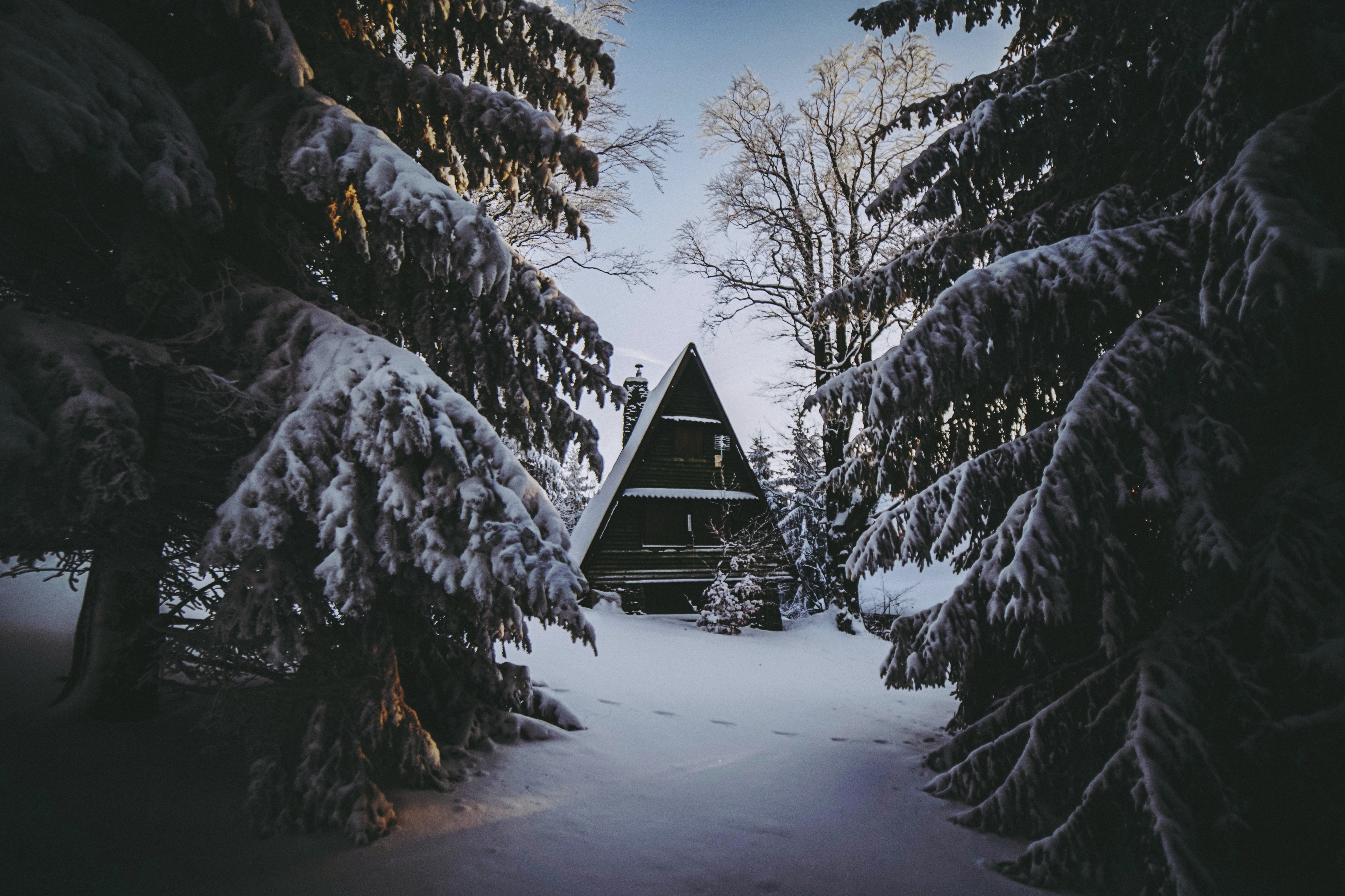 small house, winter, nature, snow, forest, lodge, coziness, comfort Aesthetic wallpaper