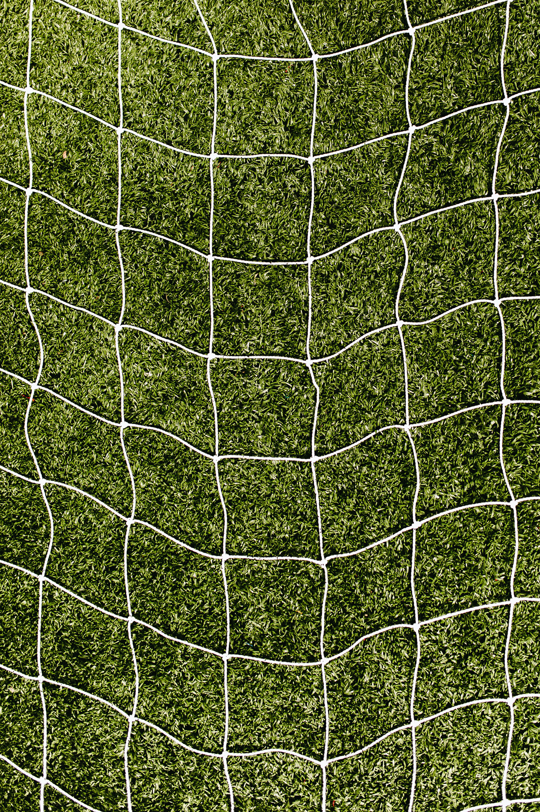 iPhone Wallpapers grid, texture, textures, grass Lawn