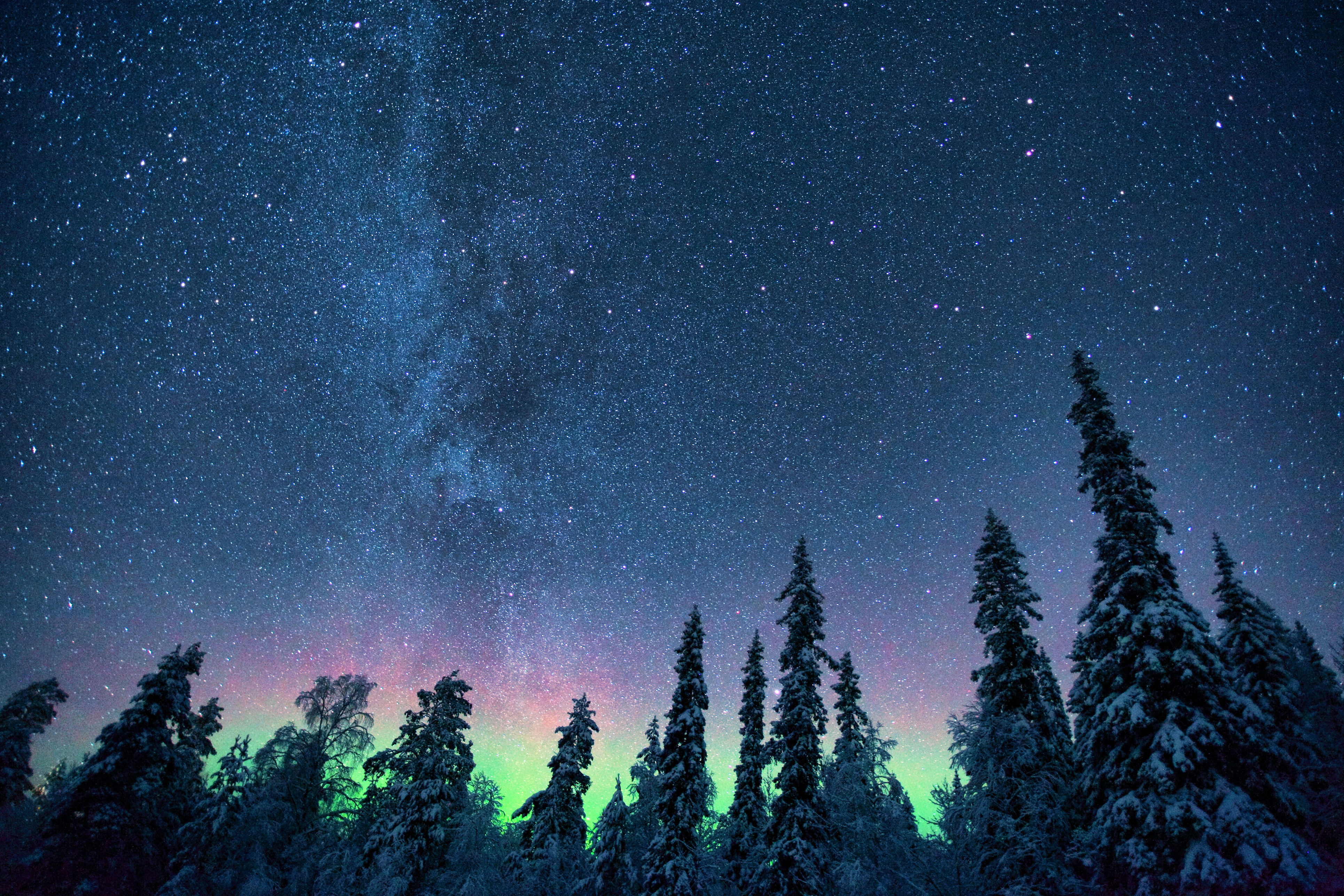 Laden Sie das Natur, Bäume, Sternenhimmel, Nordlichter, Aurora Borealis-Bild kostenlos auf Ihren PC-Desktop herunter