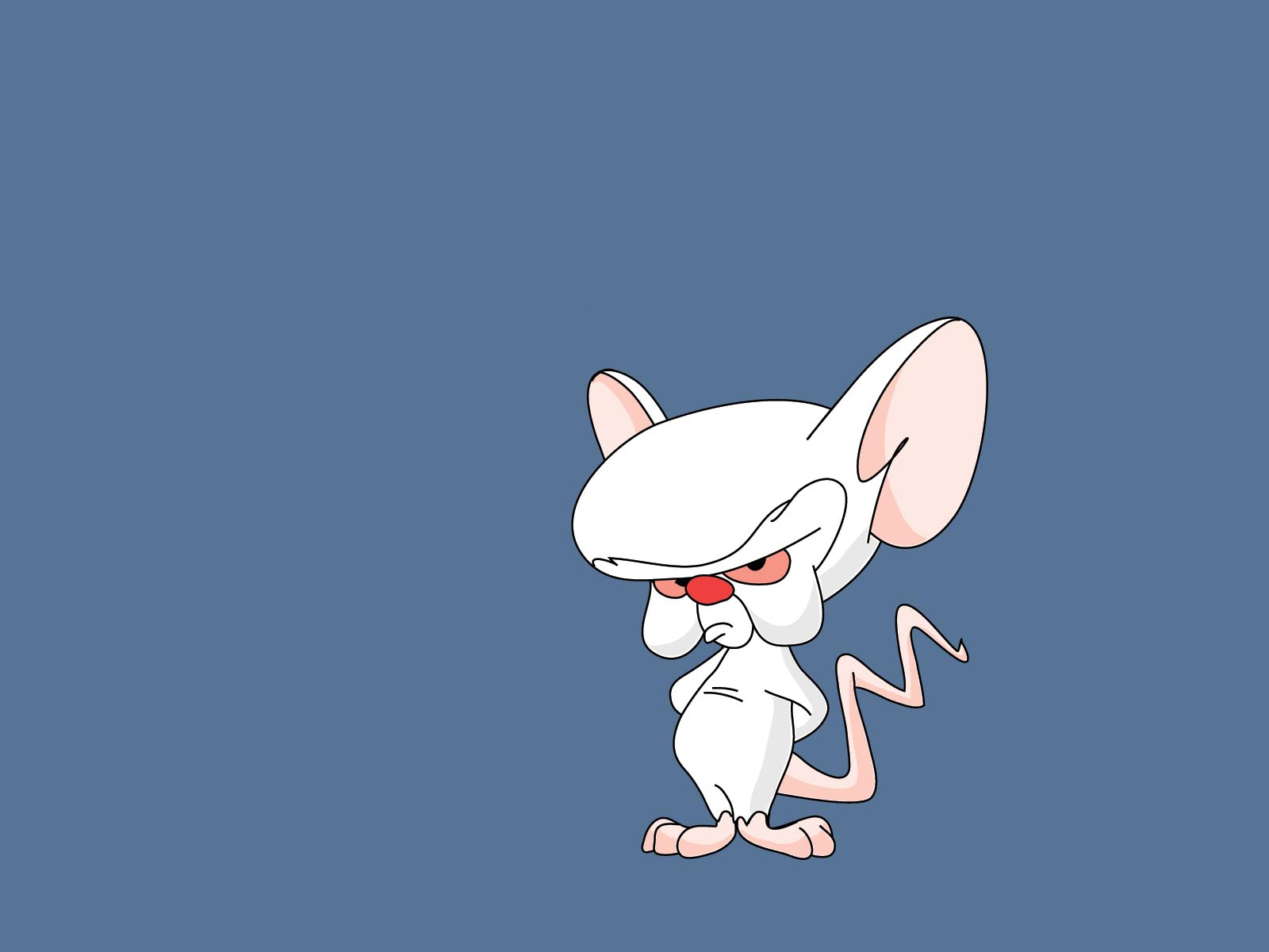 Пинки мышь. Мыши из мультика Пинки и Брейн.