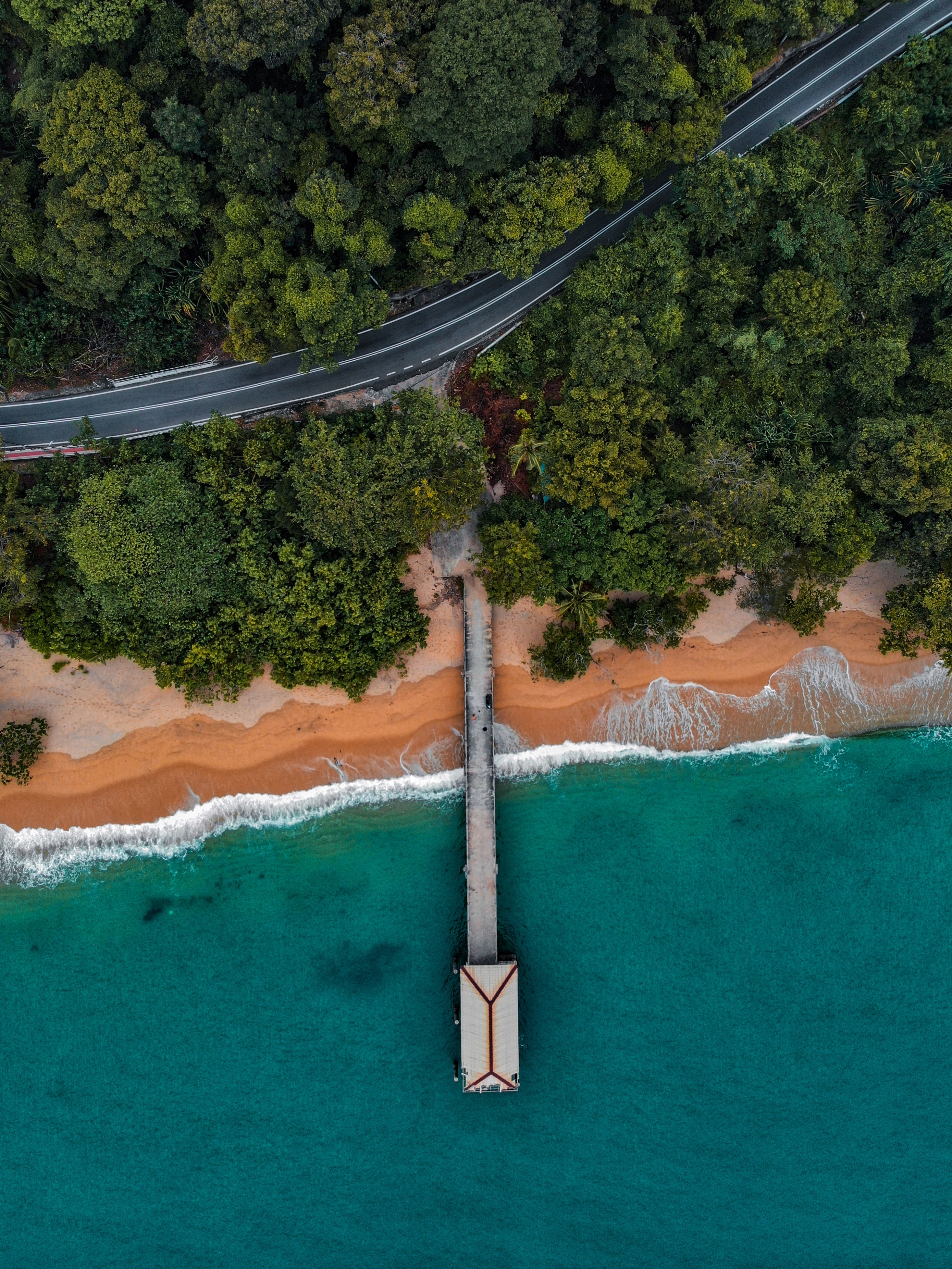 view from above, nature, trees, coast, pier, bungalow 5K