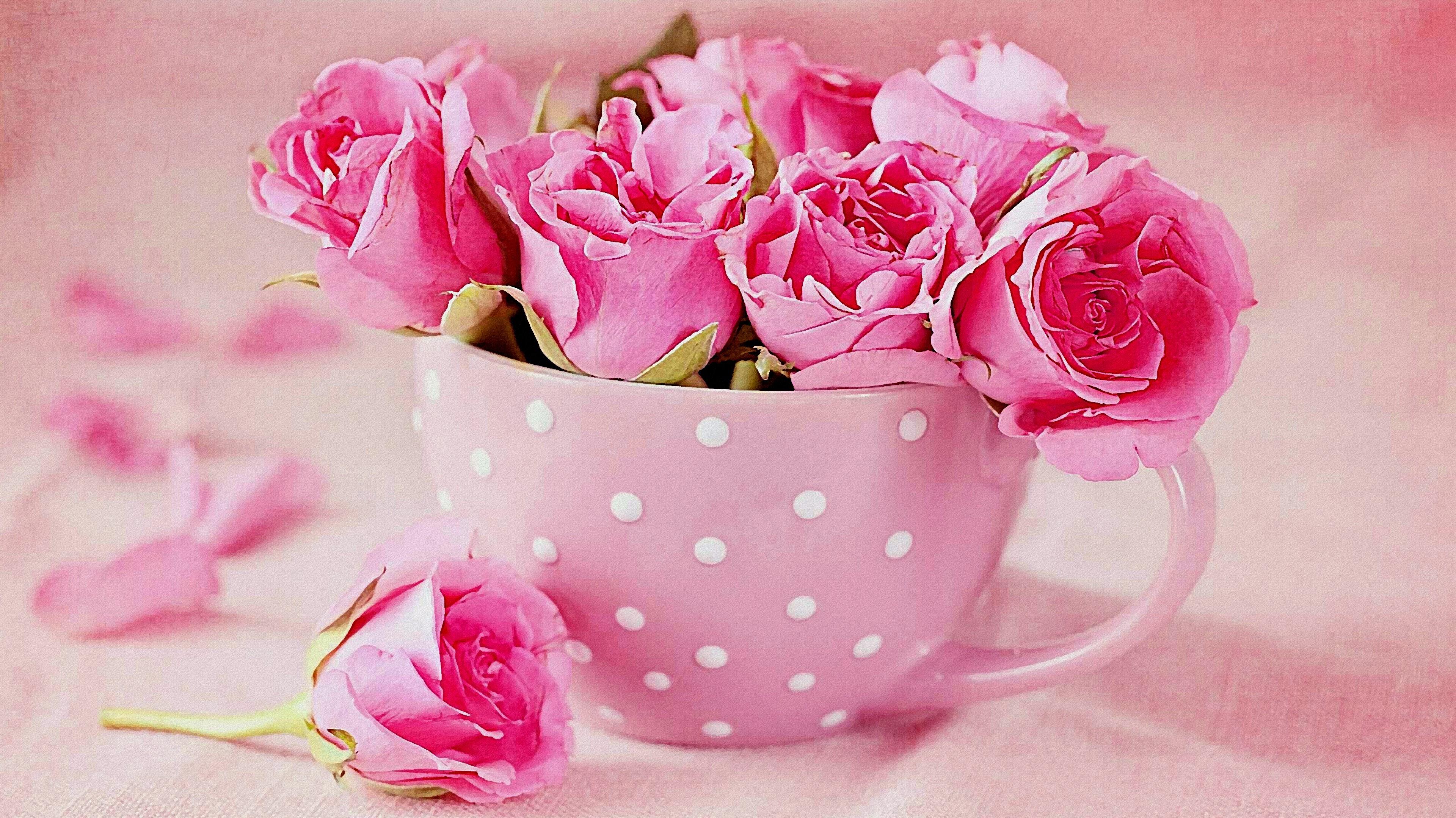 Доброе утро в розовом цвете