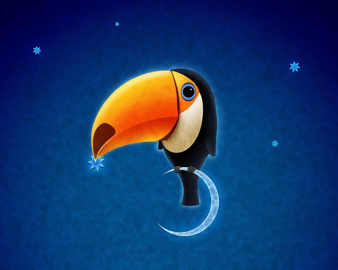pictures, birds, toucans, blue Full HD