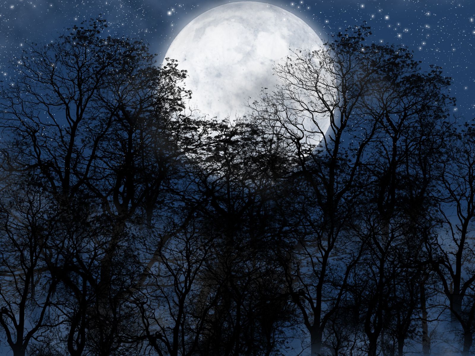 Download mobile wallpaper: Moon, Night, Trees, Landscape, free. 19322.