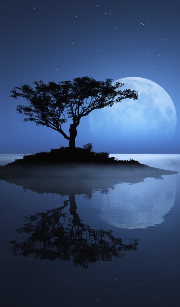 Wallpaper for mobile devices stars, water, tree, moon