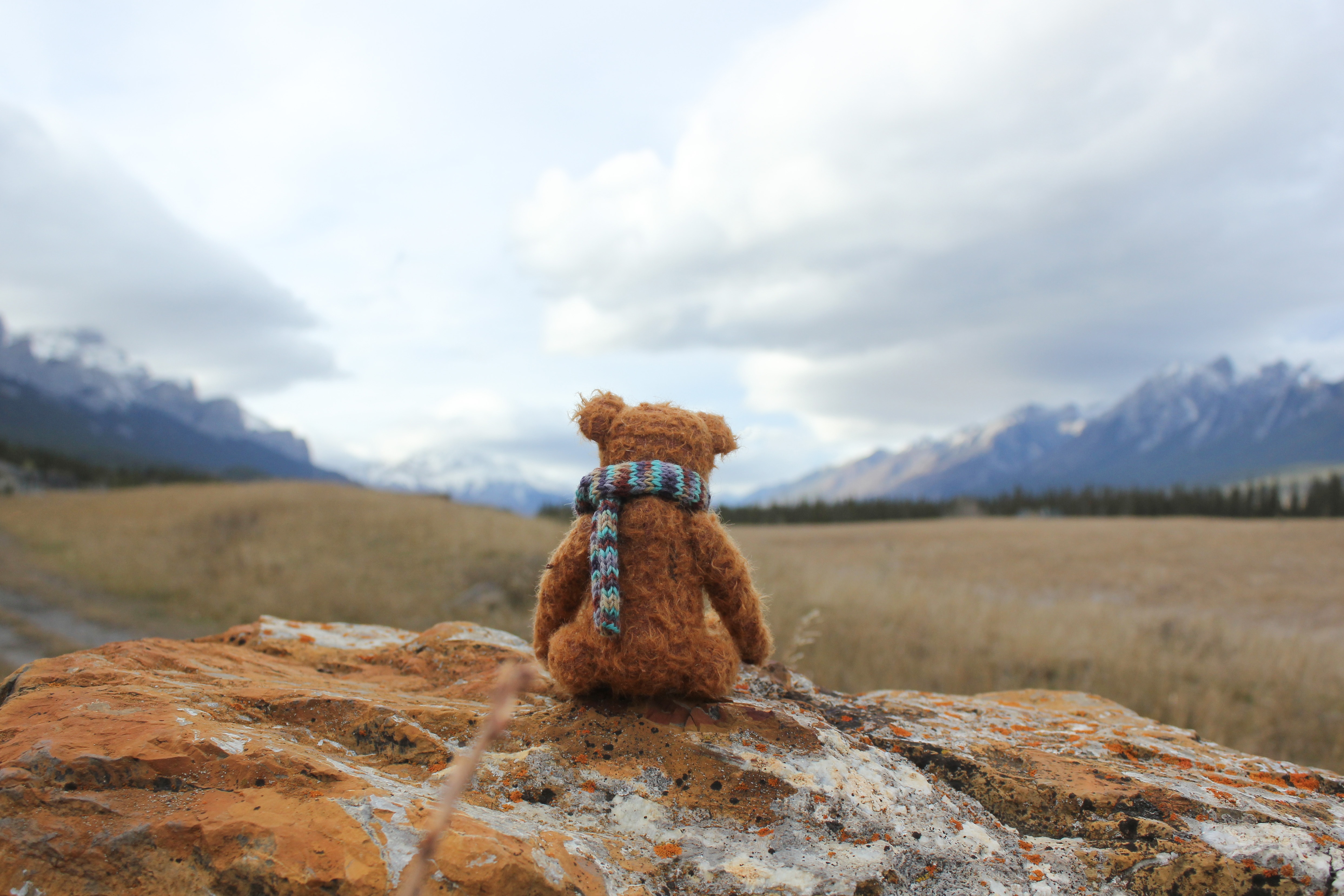 61620 download wallpaper teddy bear, rock, miscellanea, miscellaneous, toy, stone, loneliness screensavers and pictures for free