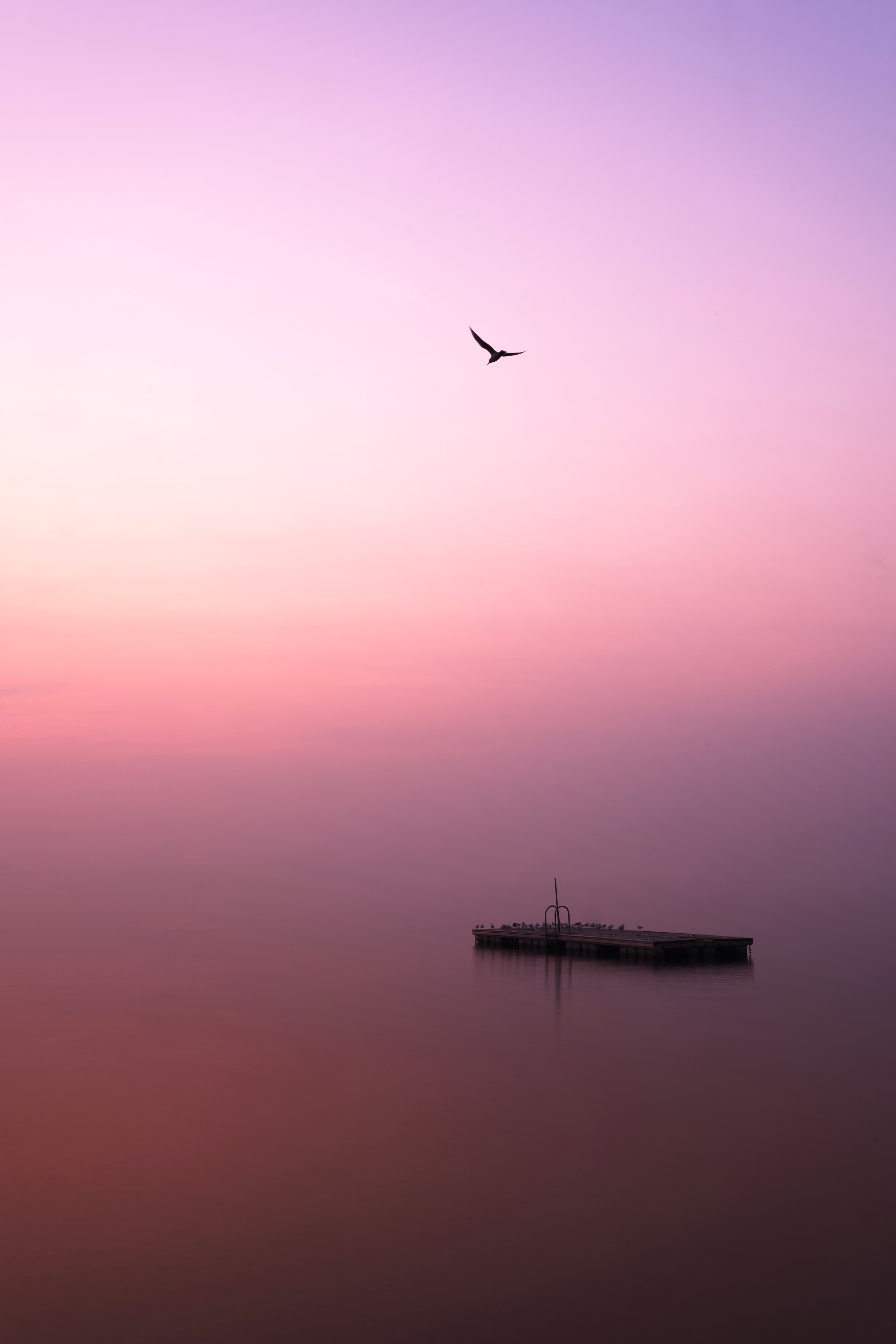 minimalism, lake, pier, fog, birds