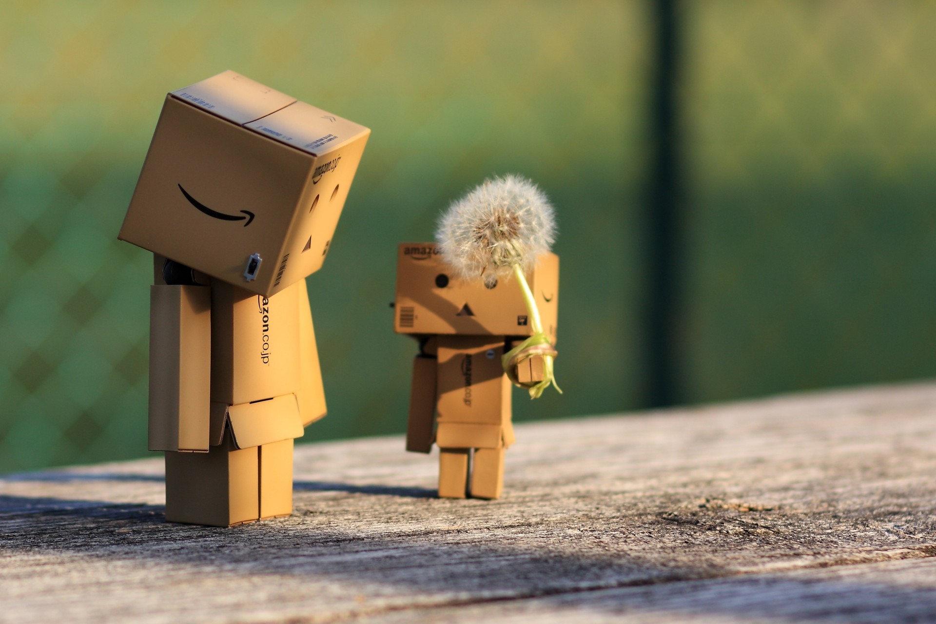 118112 download wallpaper miscellanea, miscellaneous, danbo, cardboard robot, dandelion screensavers and pictures for free