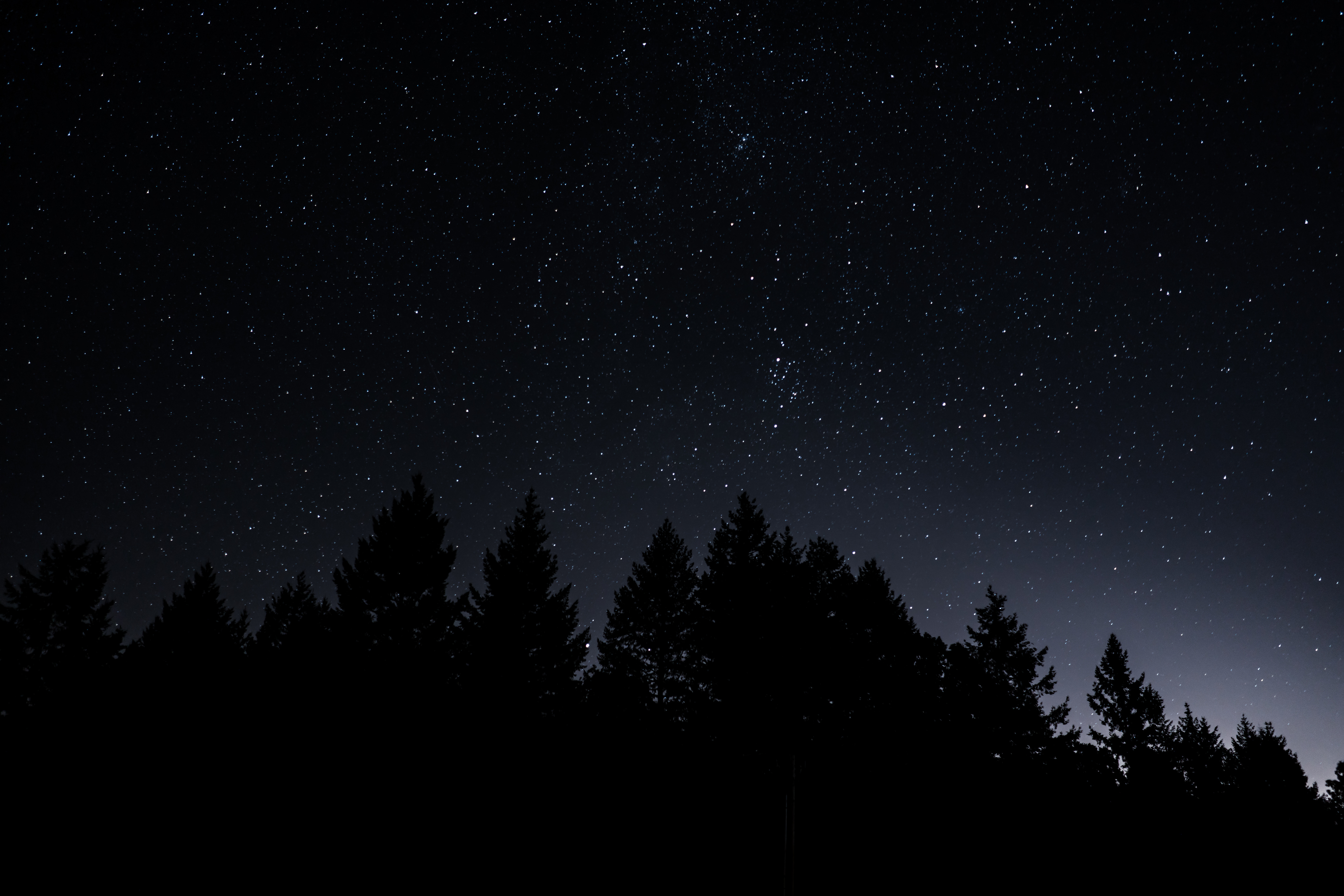 140655 скачать обои звездное небо, ночь, природа, деревья, сияние - заставки и картинки бесплатно