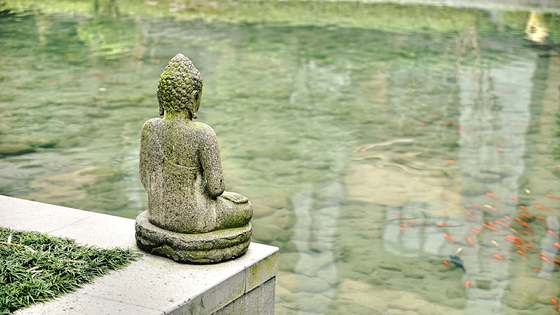 water, religious, statue, sculpture, religion, fish, buddha, pond