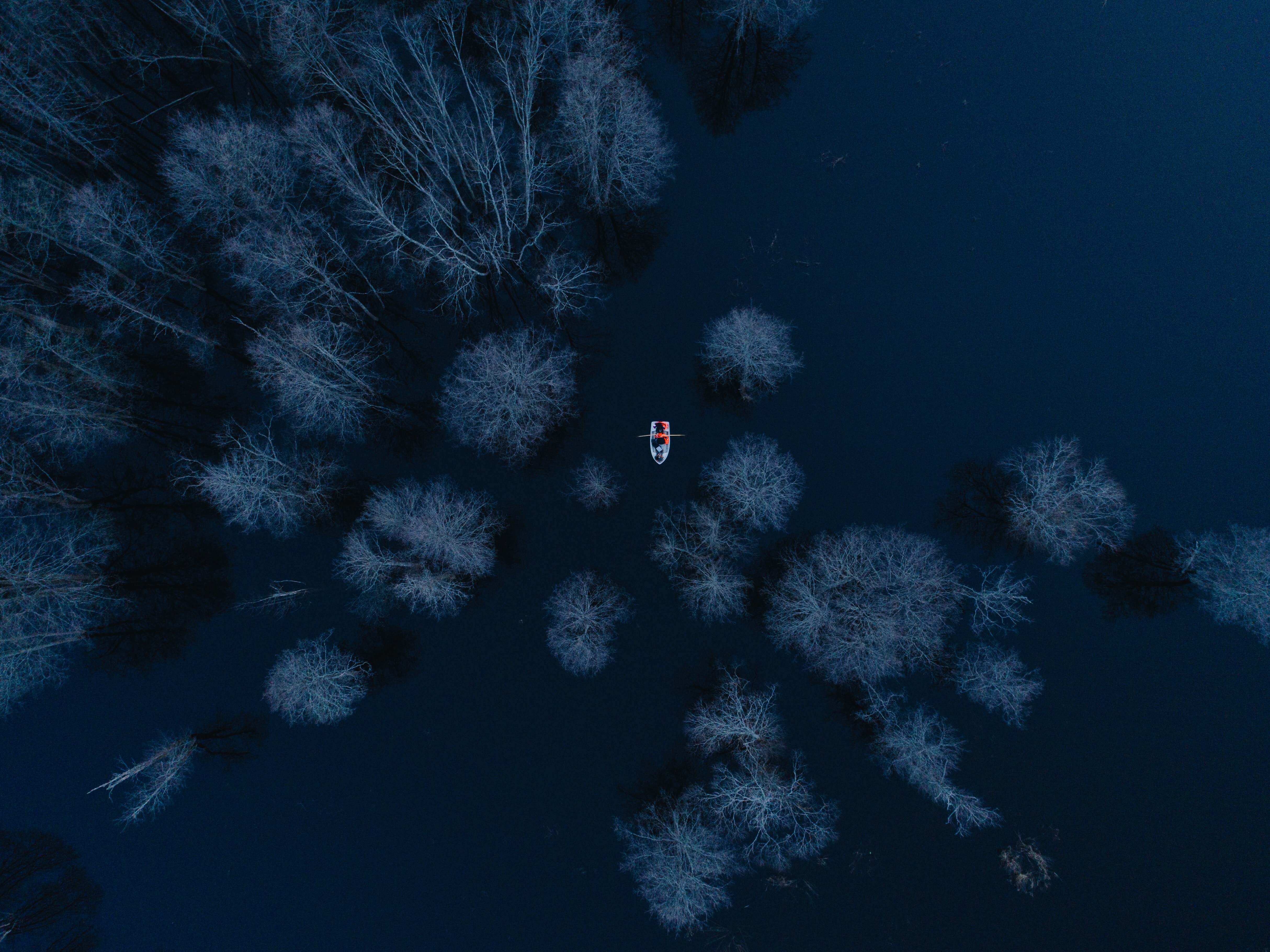 miscellanea, trees, view from above, lake, miscellaneous, boat for android