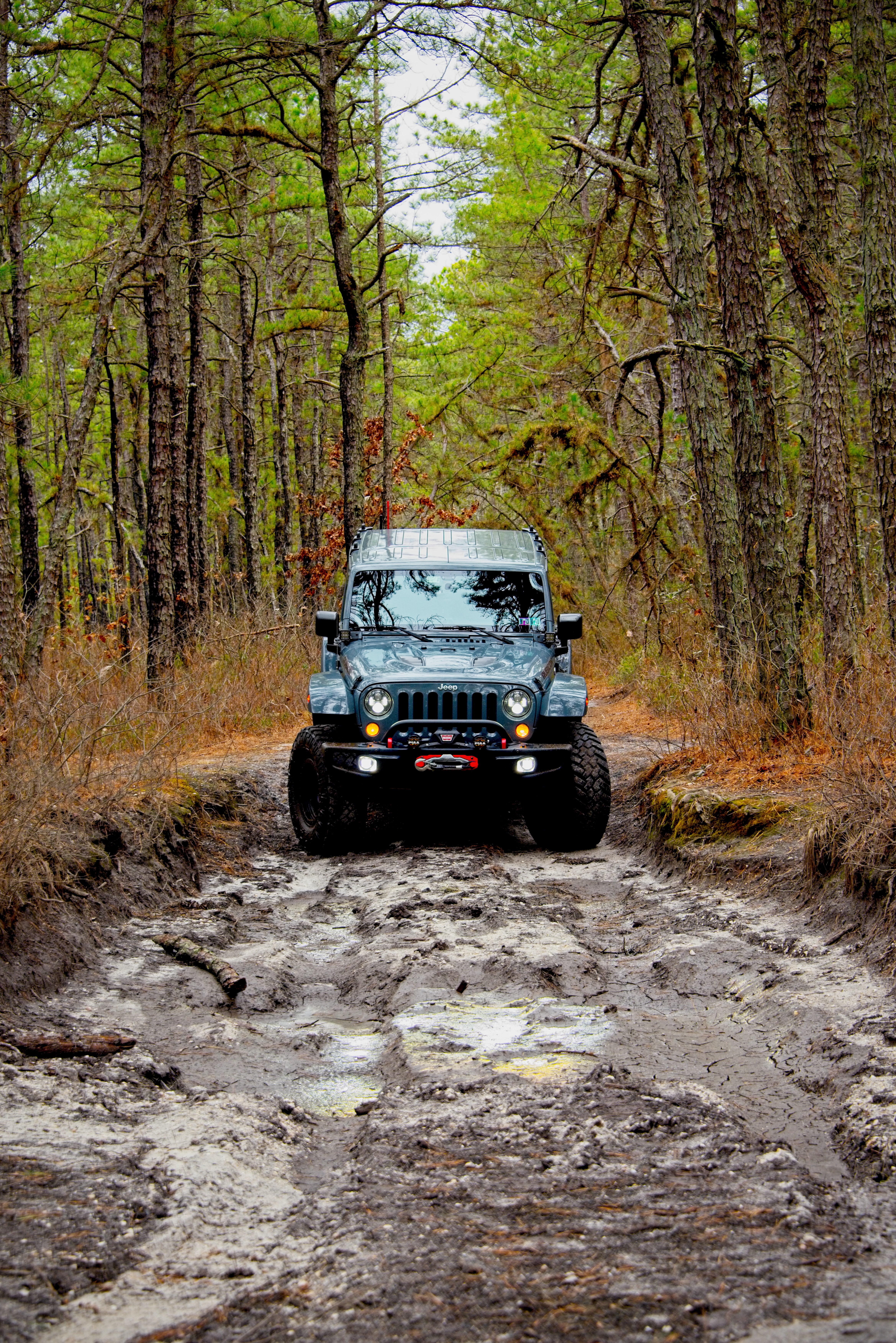 jeep, jeep wrangler, front view, forest, cars, car 2160p