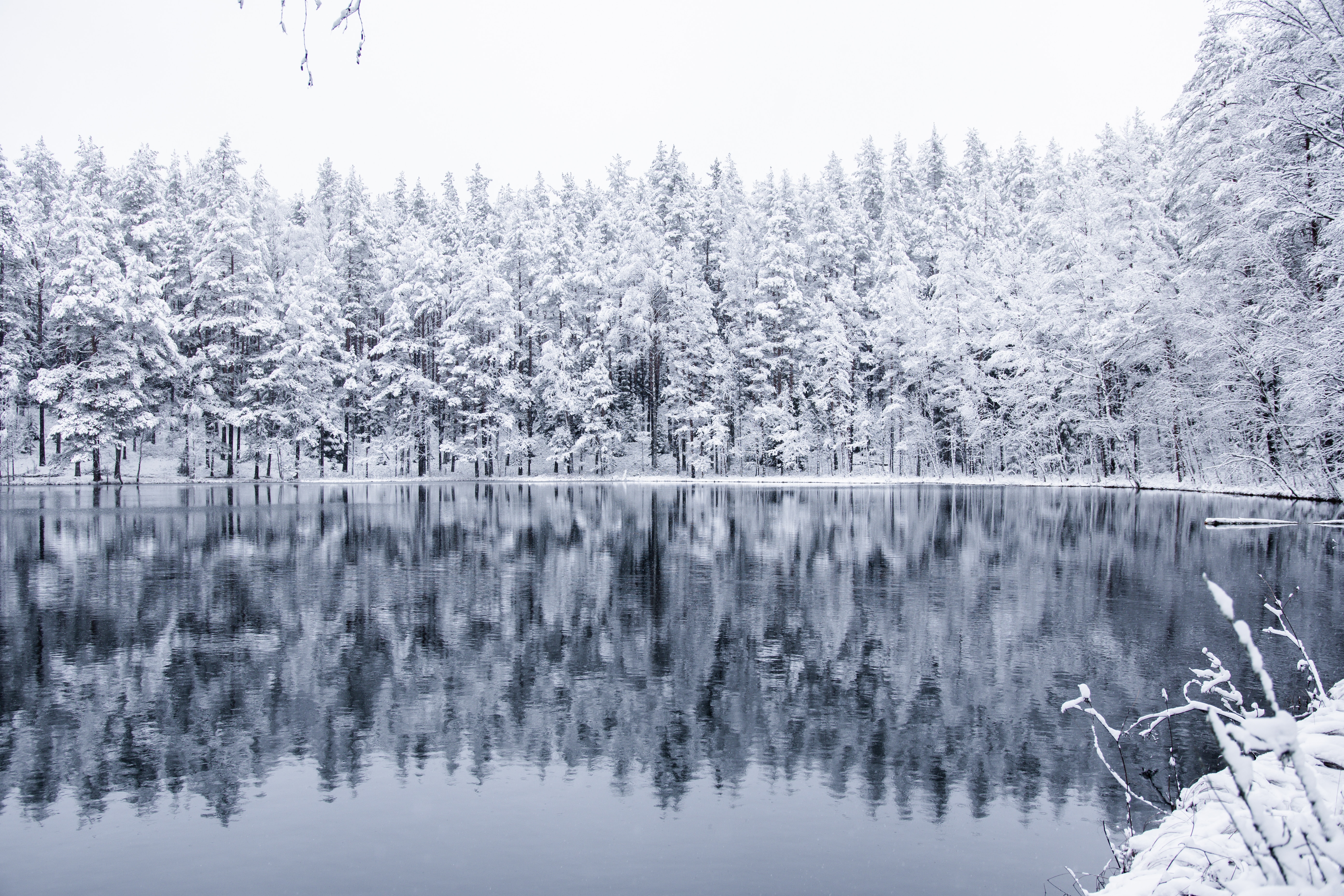 forest, snow, lake, nature Winter HQ Background Images