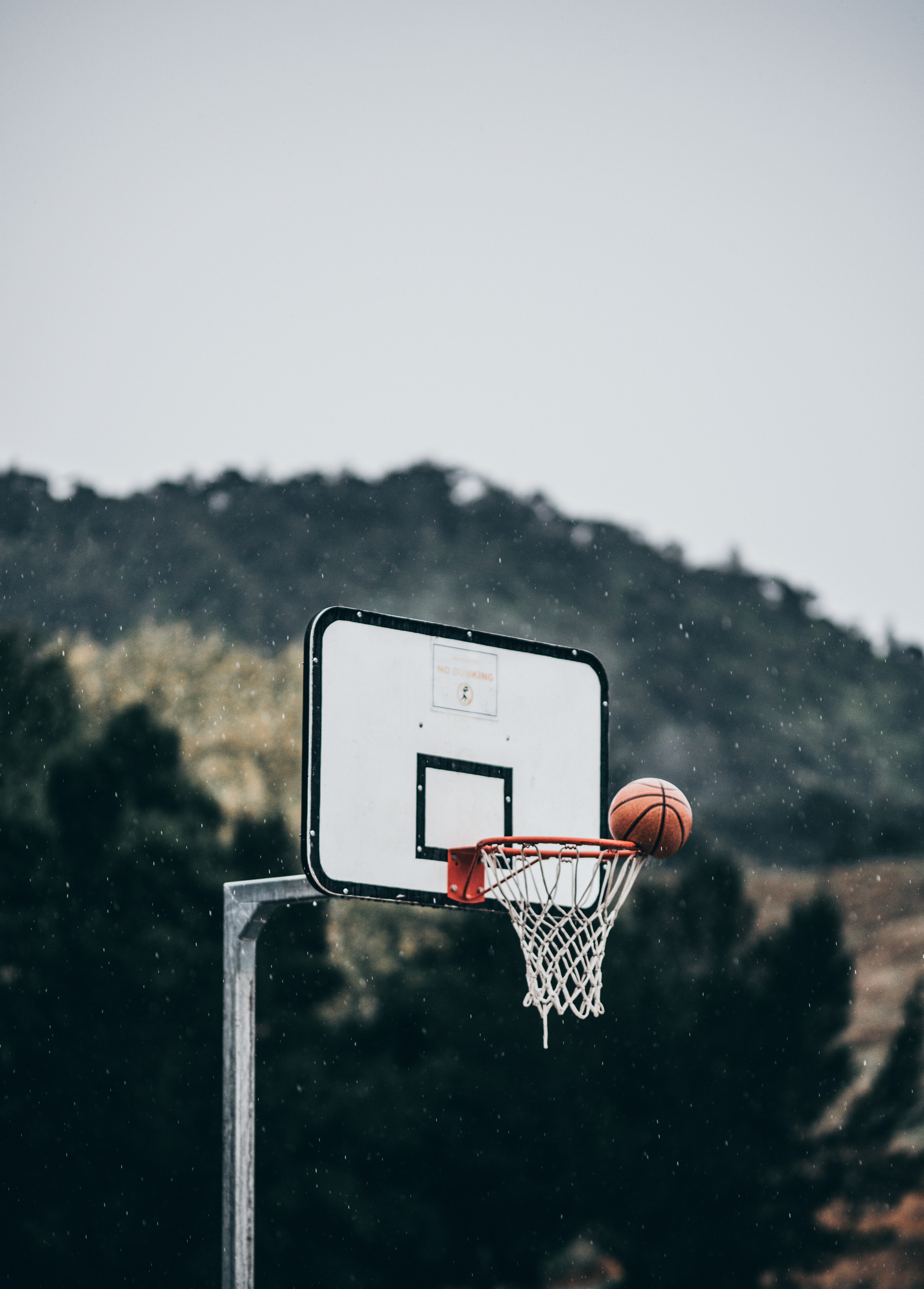 basketball ring, sports, throw, ball Phone Wallpaper