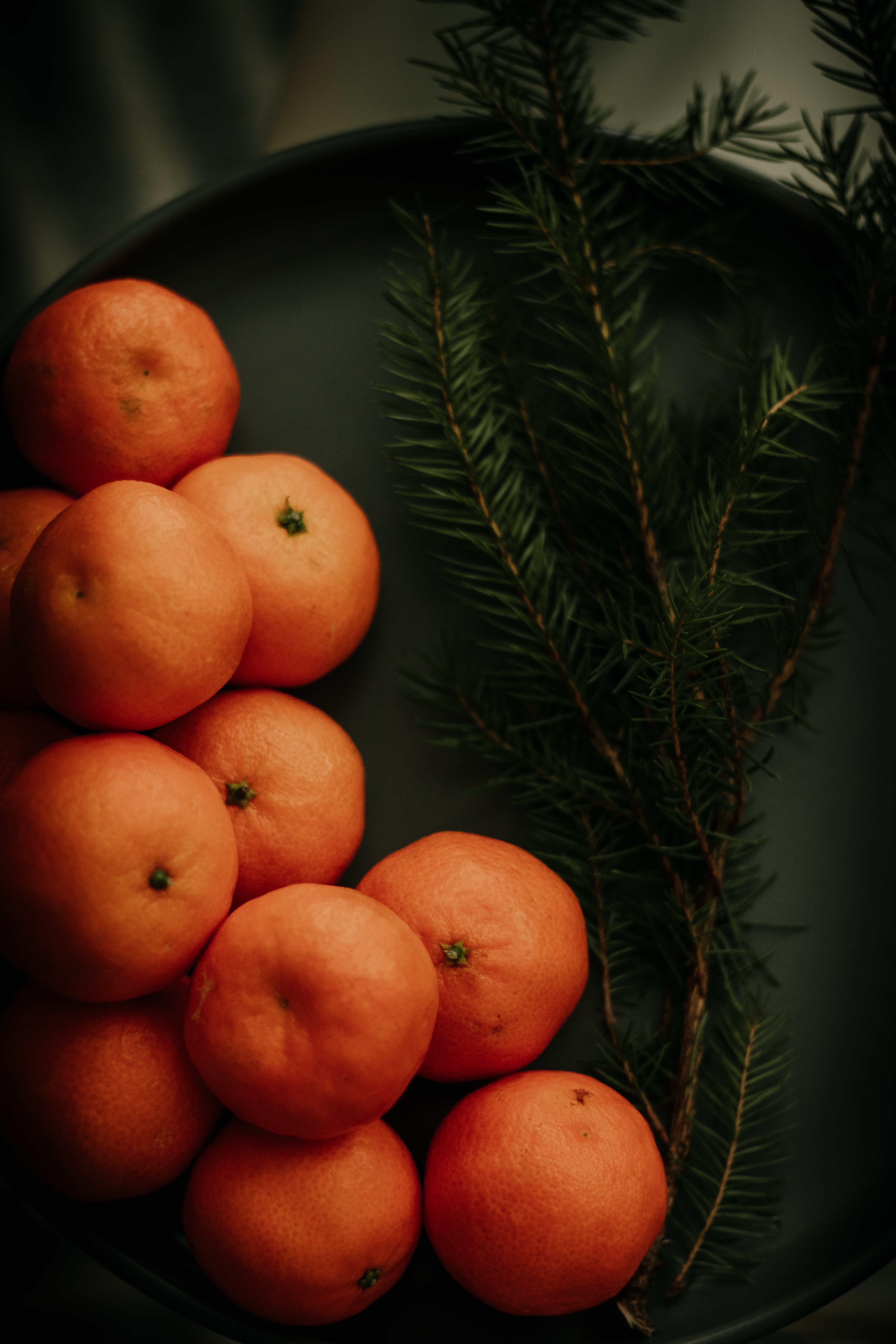 fruits, food, tangerines, branch, spruce, fir, citrus wallpapers for tablet