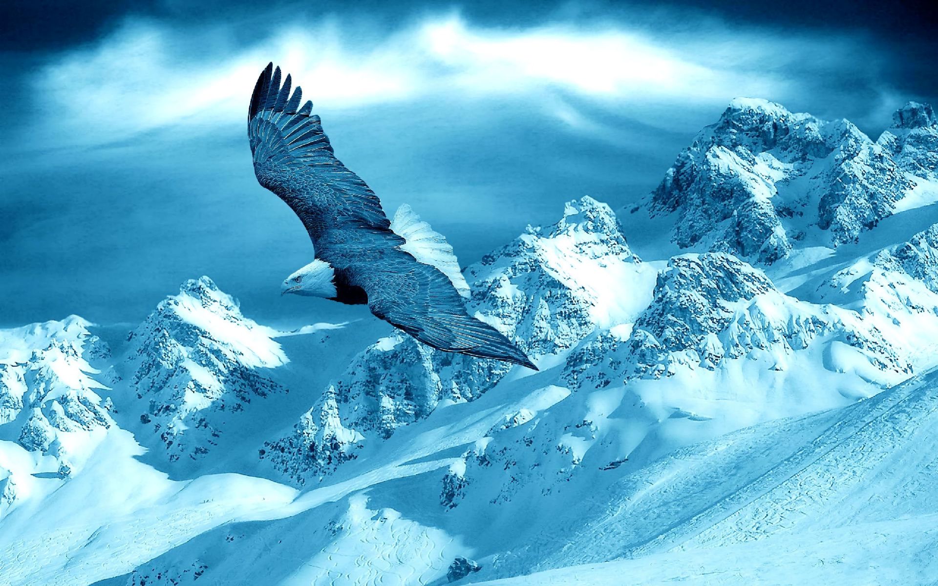Орел на фоне снежных гор