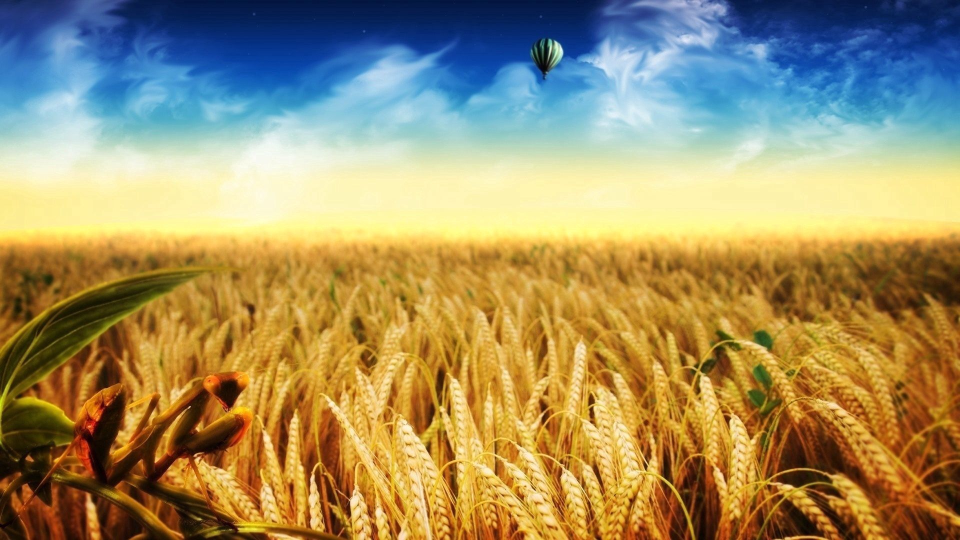 Laden Sie das Herbst, Natur, Gold-, Feld, Flug, Luftballon, Ballon, Ohren, Spikes, Die Ernte, Ernte-Bild kostenlos auf Ihren PC-Desktop herunter