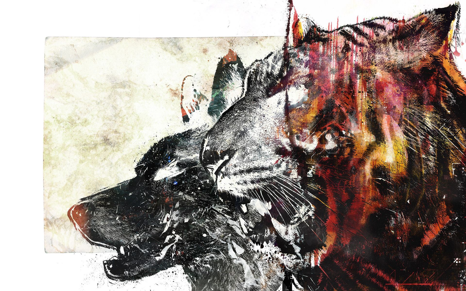 90242 download wallpaper abstract, white, red, picture, drawing, wolf, tiger screensavers and pictures for free
