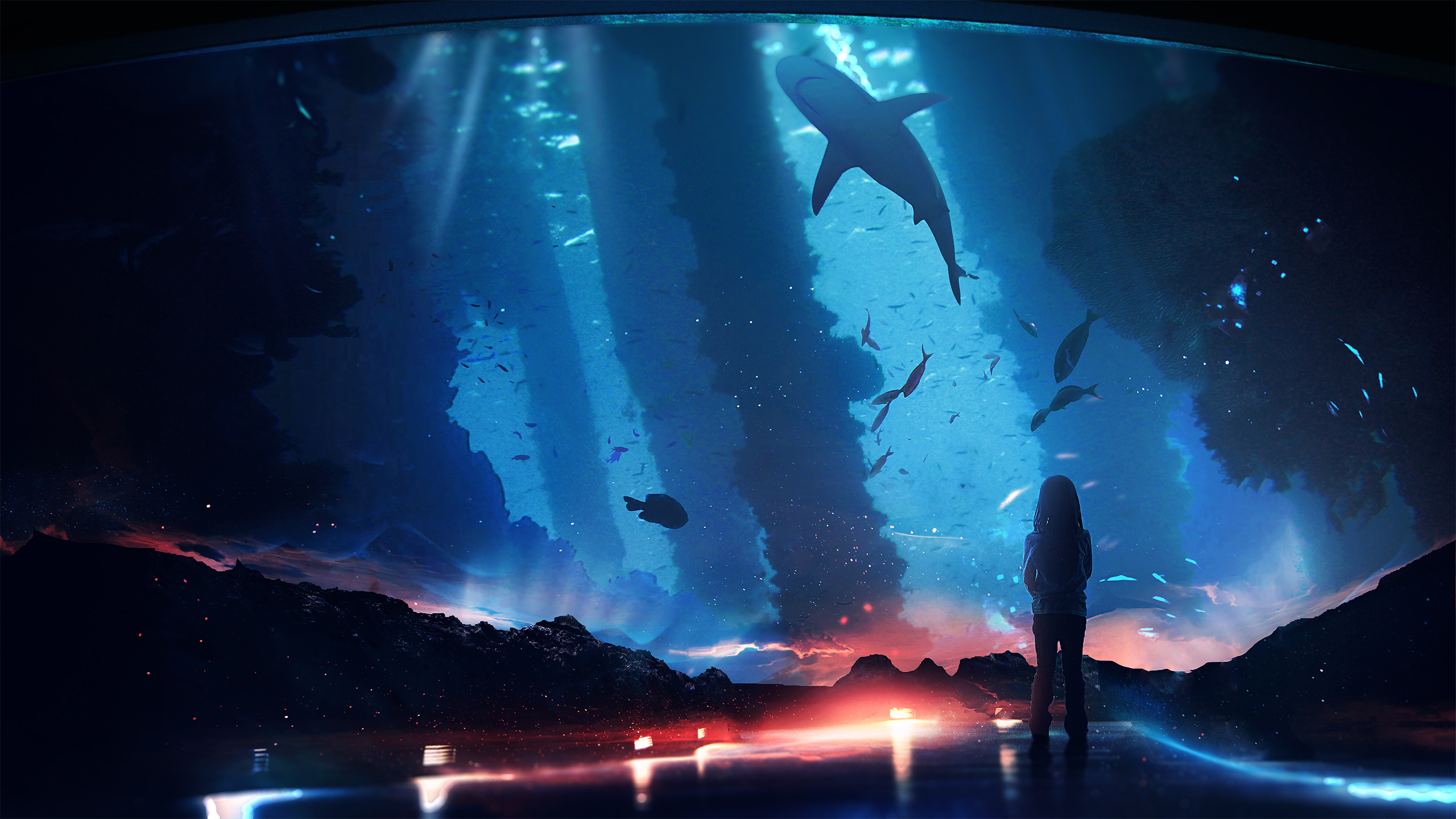 child, aquarium, shark, fantasy HD wallpaper