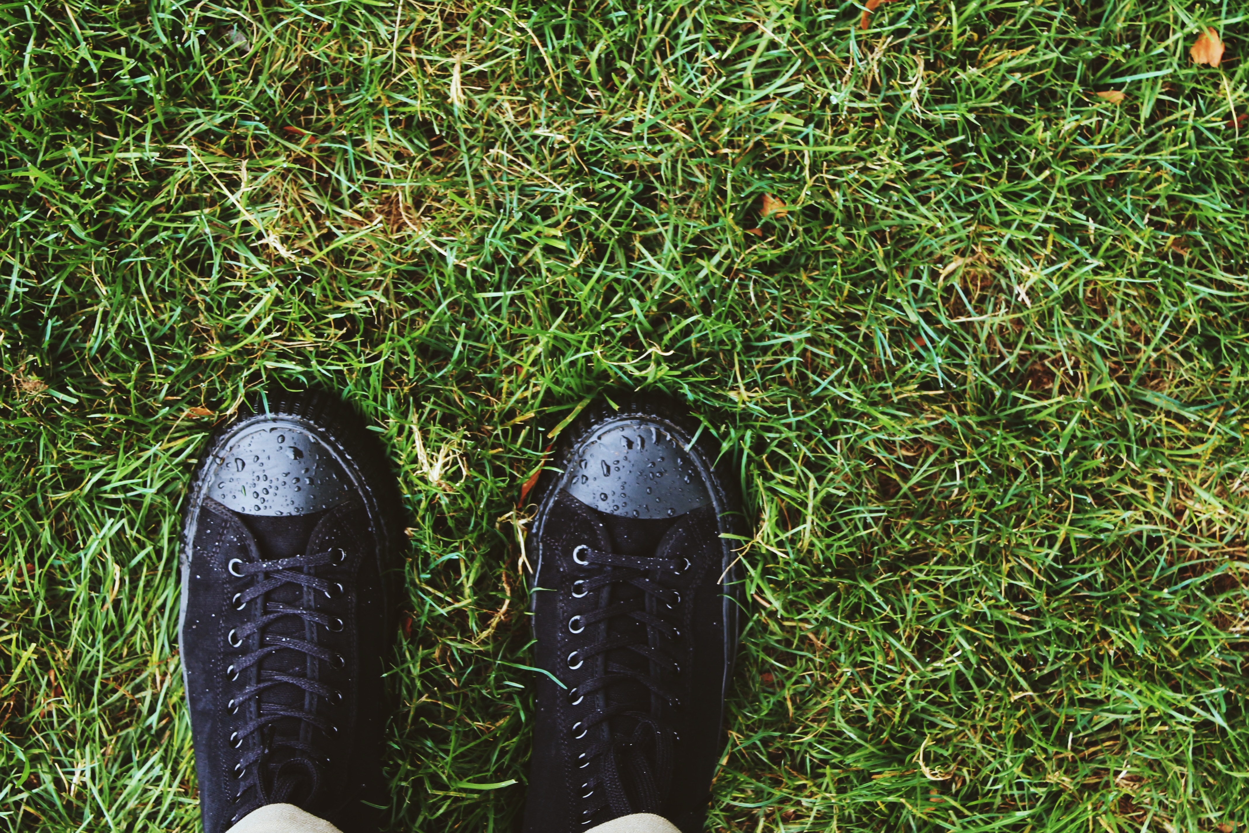 shoes, dew, minimalism, grass HD Mobile