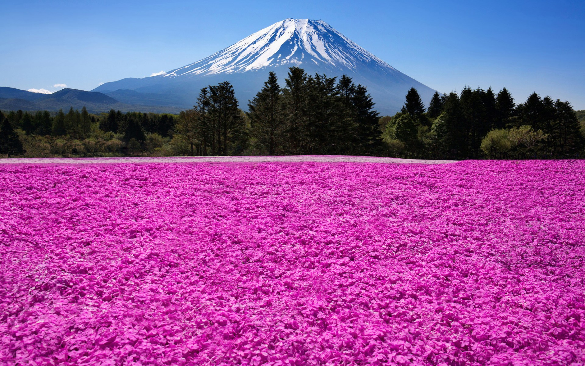 お使いの携帯電話の336909スクリーンセーバーと壁紙富士山。 の写真を無料でダウンロード