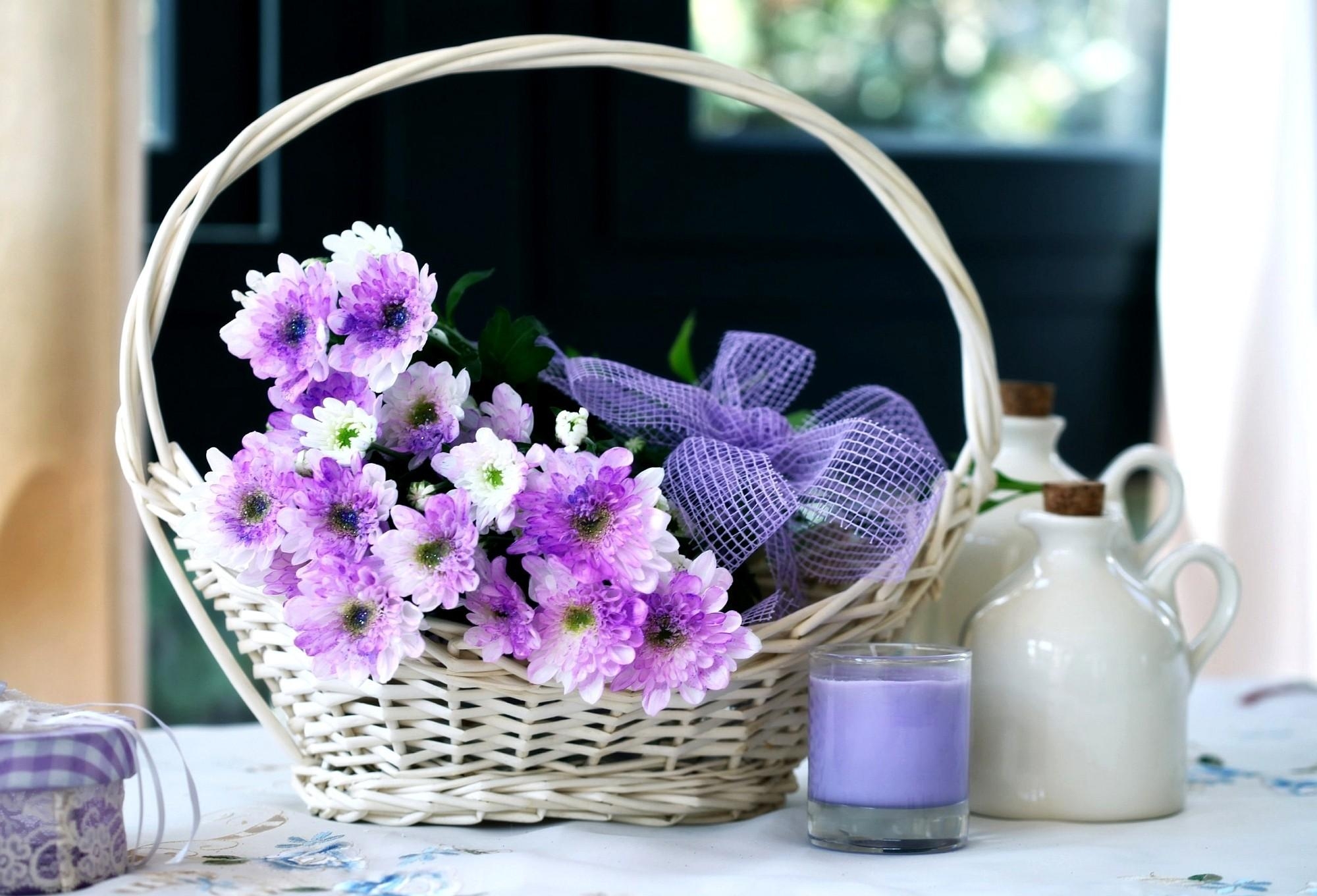 Desktop Backgrounds Typography flowers, basket, bow, chrysanthemum